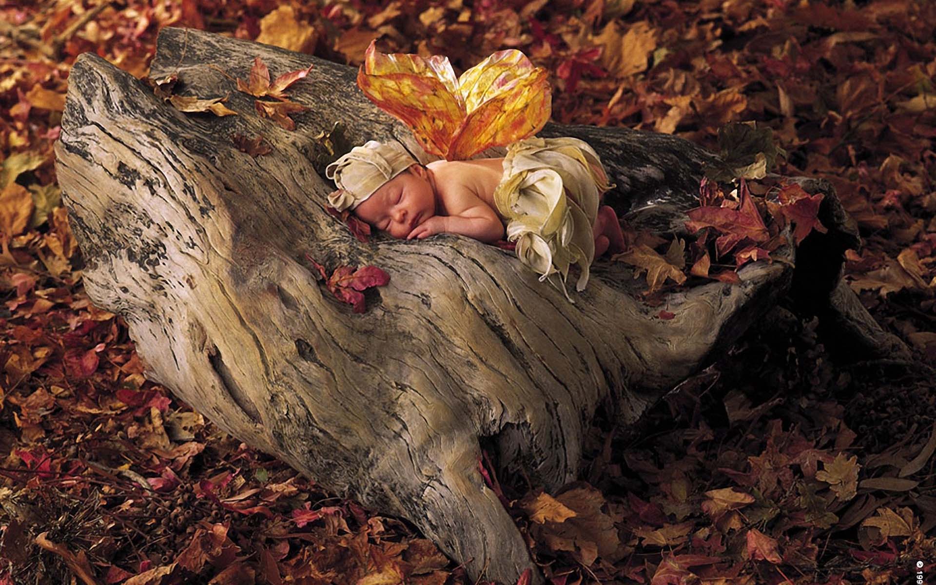 Free download Autumn Fairy Baby 1920x1200 Wallpaper 1920x1200 Wallpaper [1920x1200] for your Desktop, Mobile & Tablet. Explore Anne Geddes Fall Wallpaper. Anne Geddes Fall Wallpaper, Anne Geddes Wallpaper, Anne Geddes Wallpaper