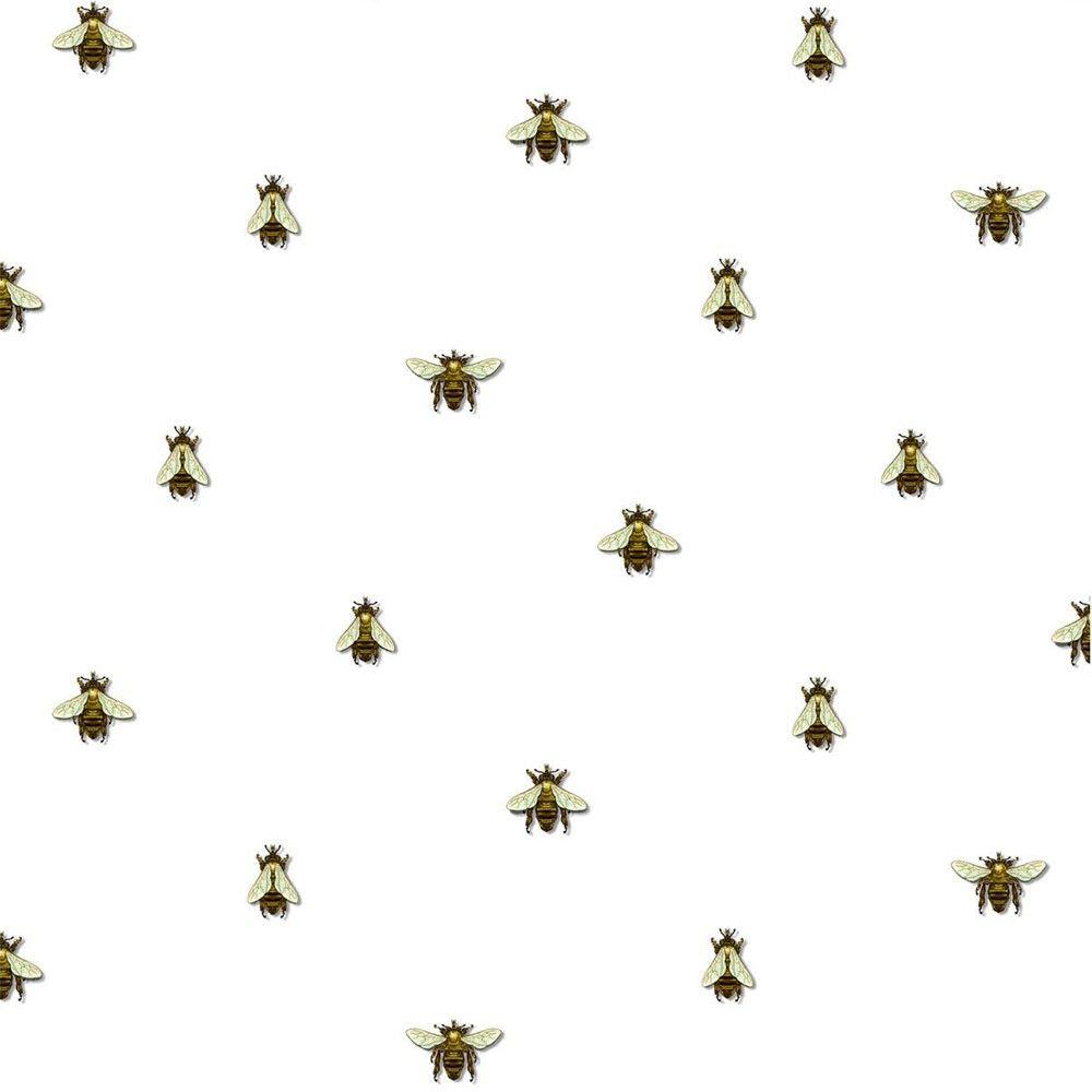 HONEY BEE Wallpaper Download  MobCup