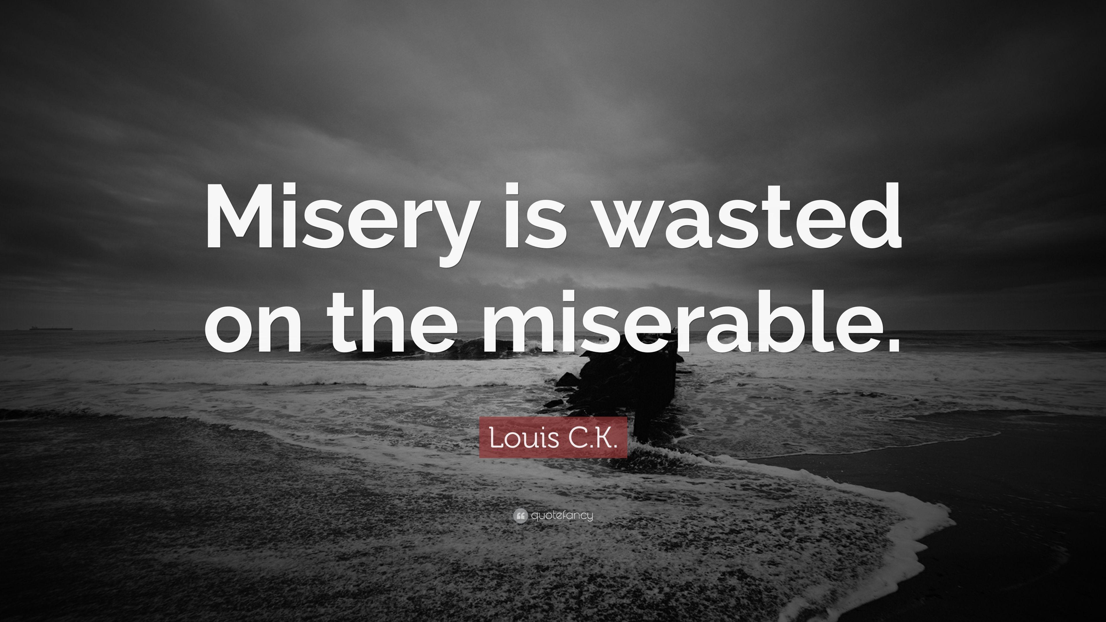 Louis C.K. Quote: “Misery is wasted on the miserable.” 19