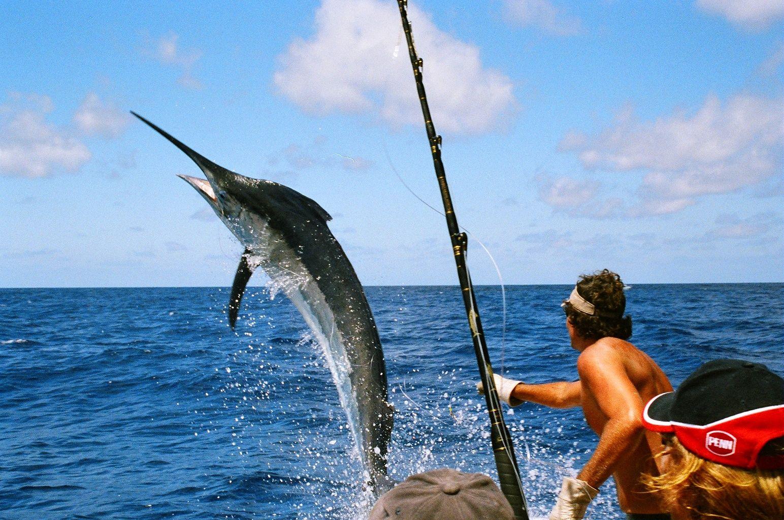 Go deep sea fishing and learn to prepare and cook your catch