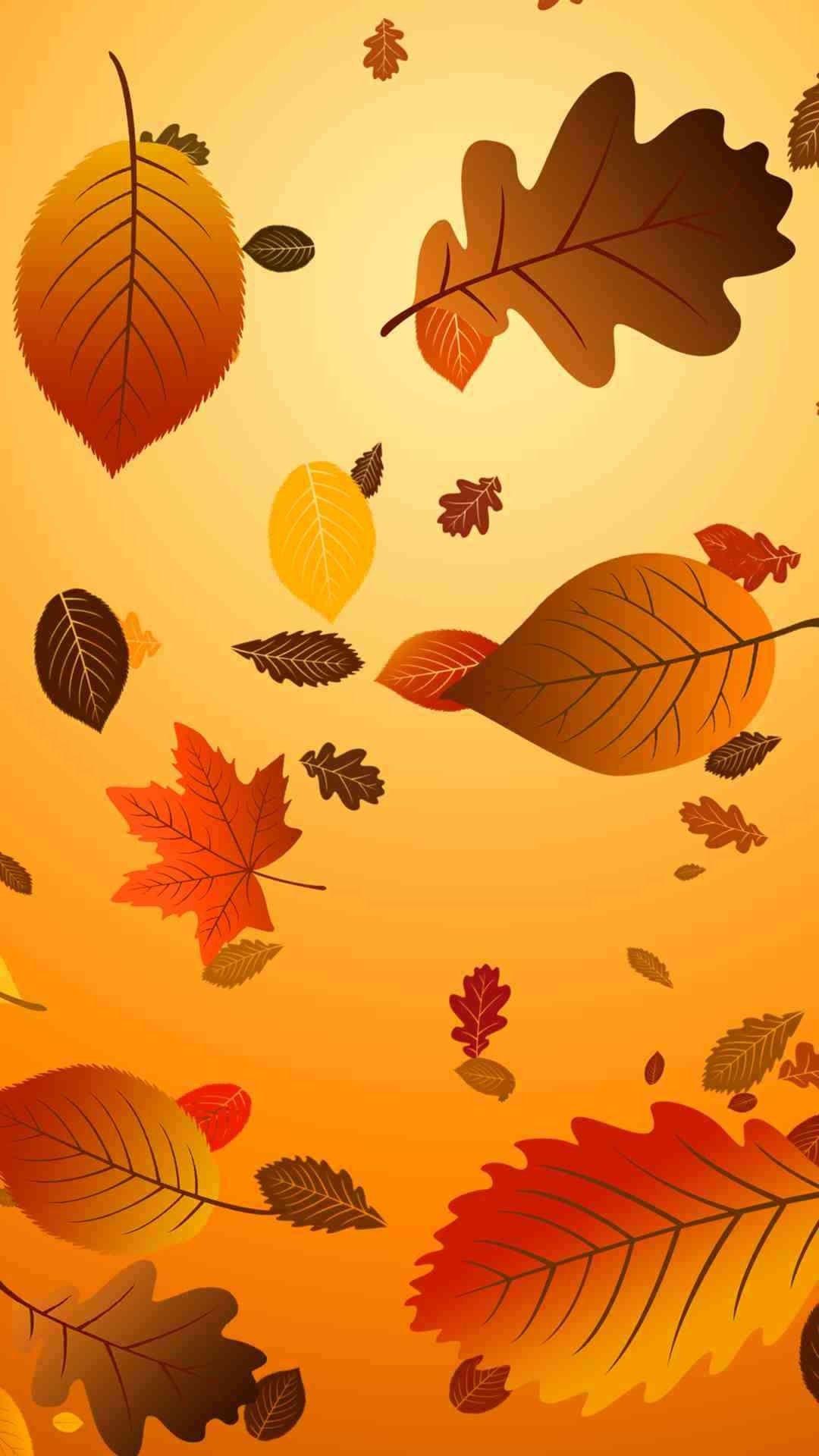 Which 2015 Thanksgiving iphone 6 plus wallpaper do you like