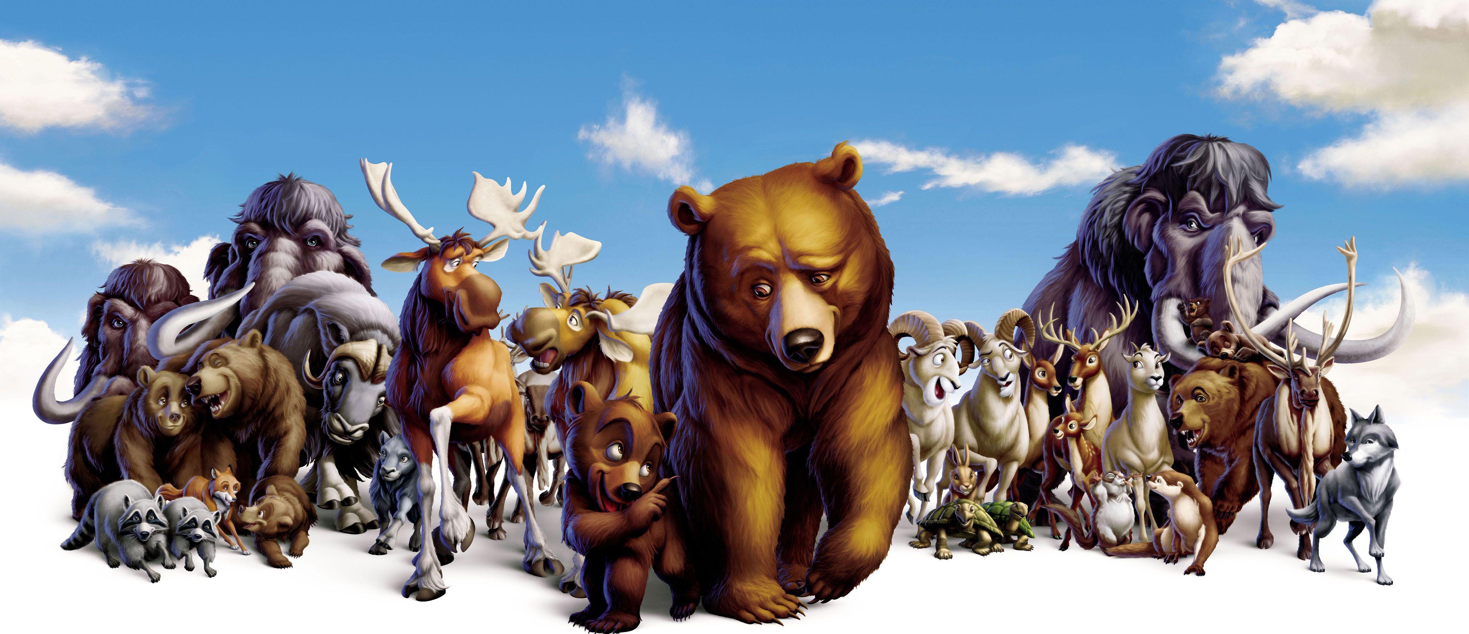 HQ 5000x2158 Resolution, 01 06 Brother Bear