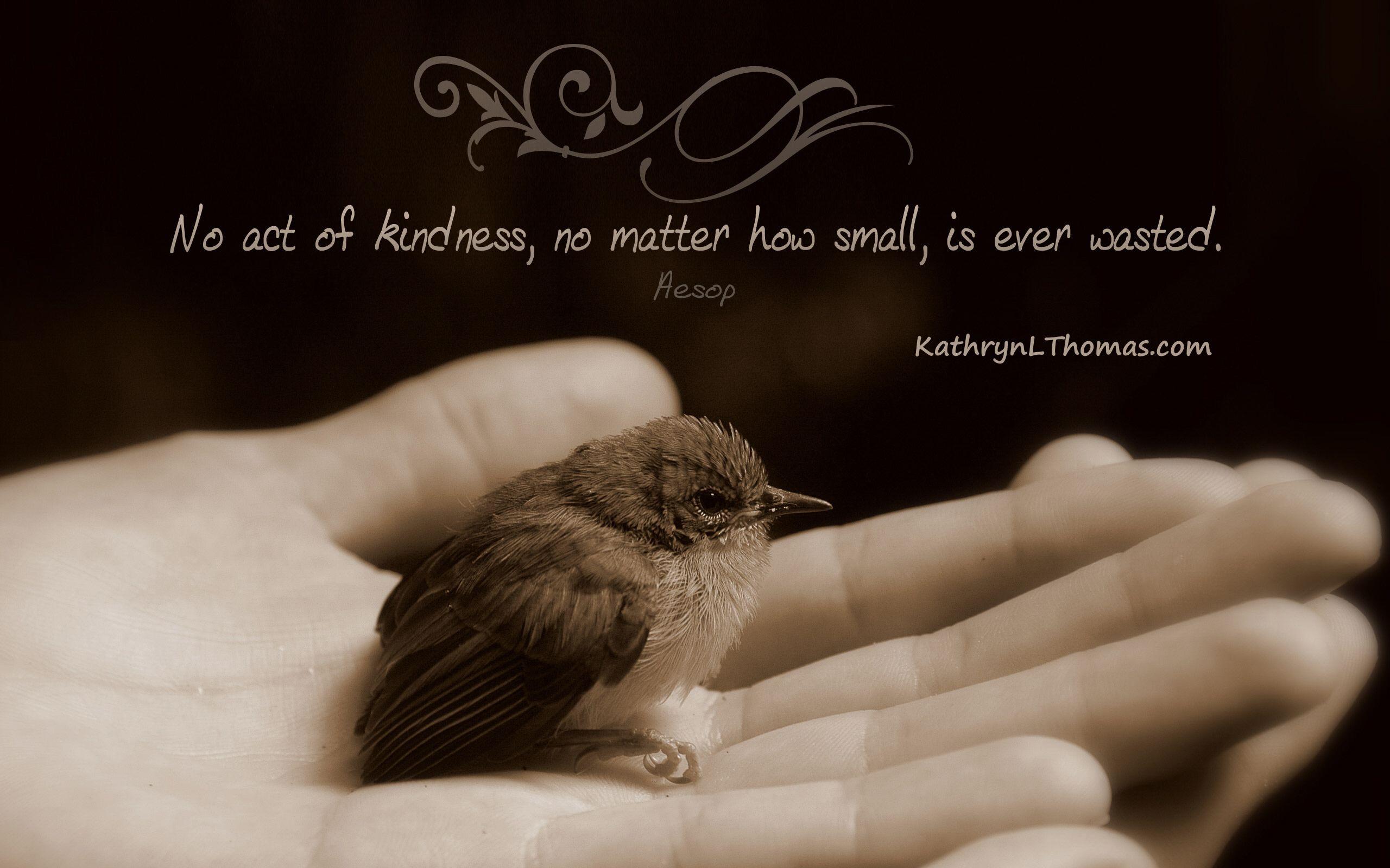 No Act of Kindness. Kathryn L Thomas