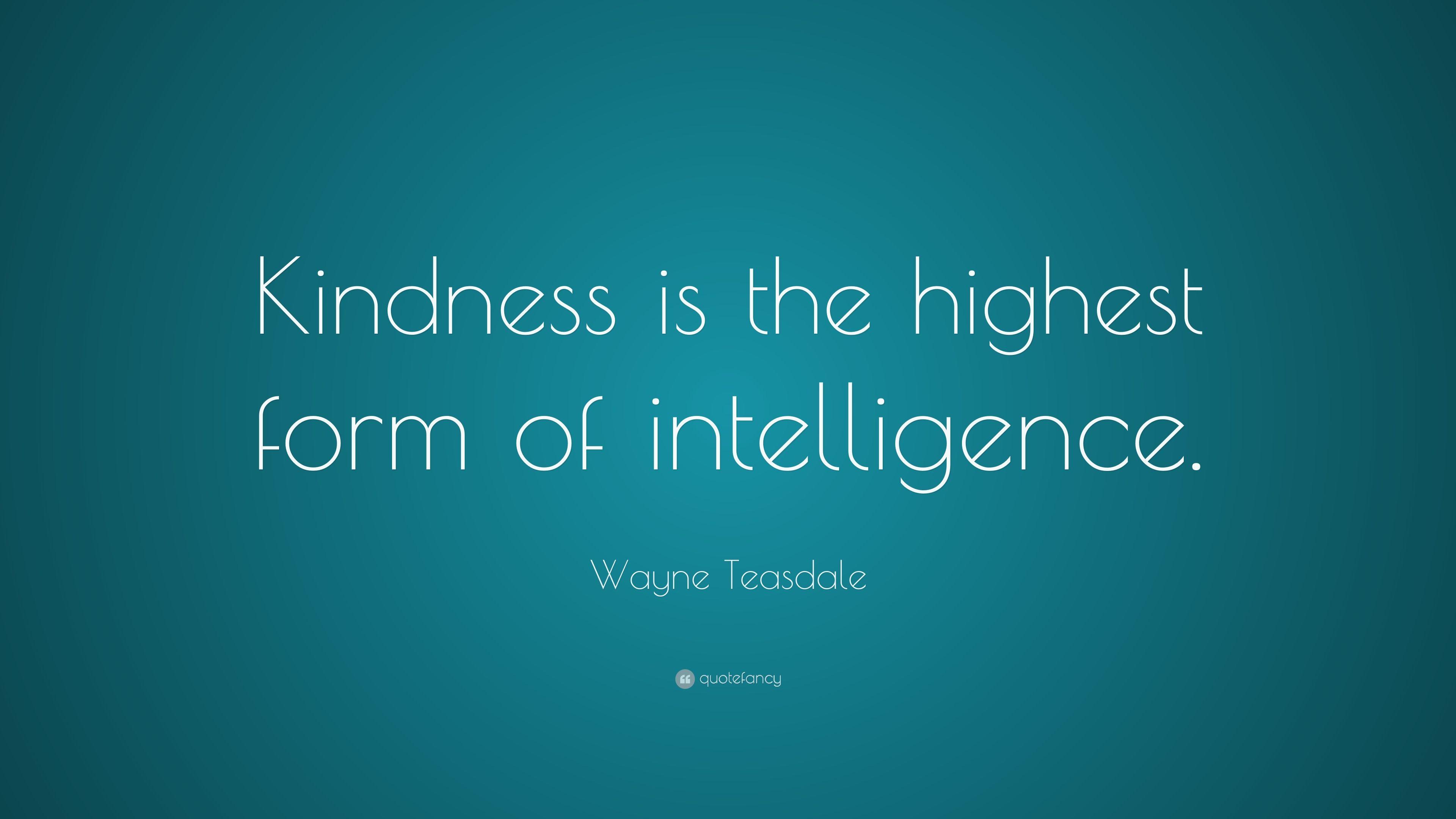 Wayne Teasdale Quote: “Kindness is the highest form