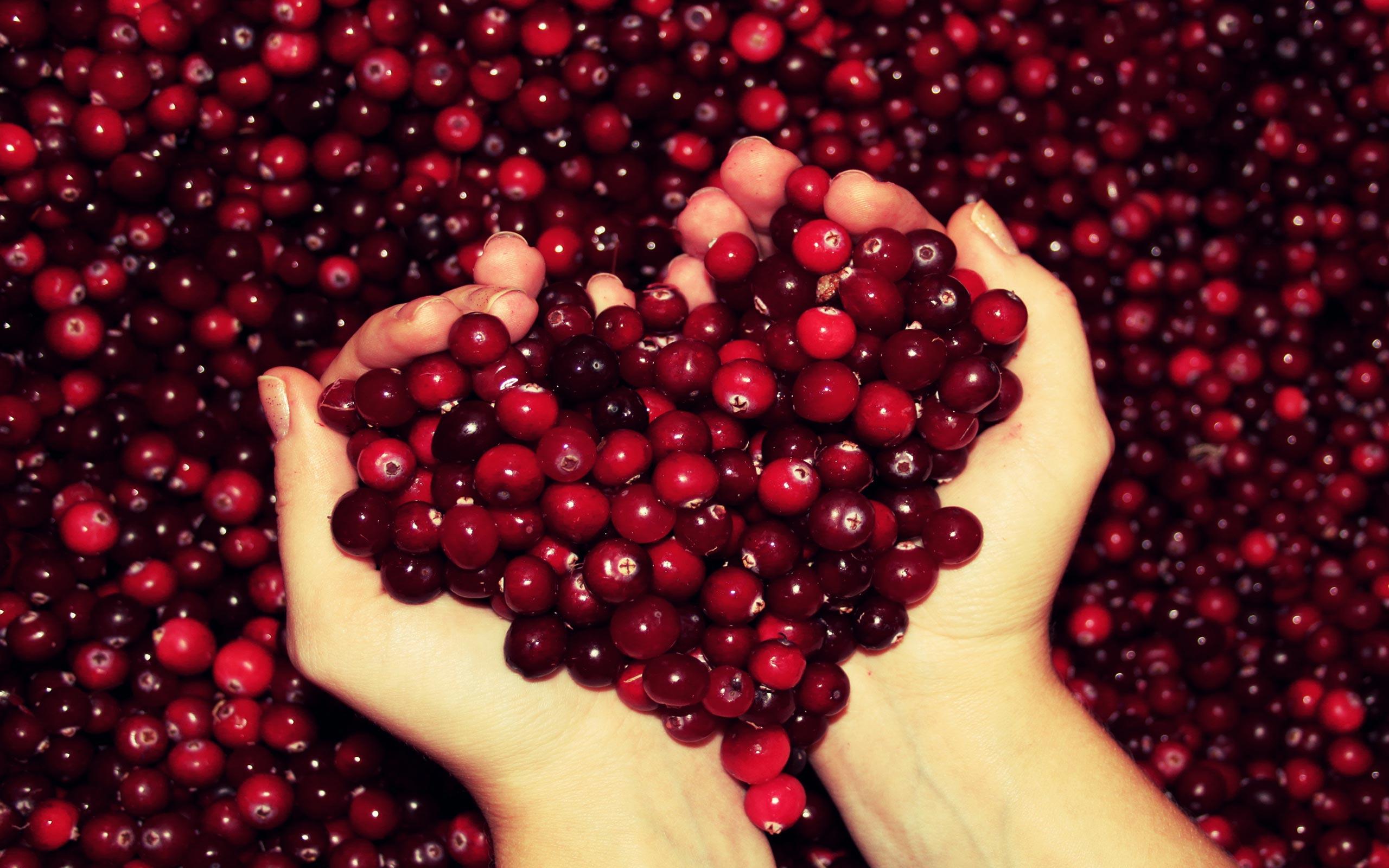 Native Foods Blog: A Case for Cranberries