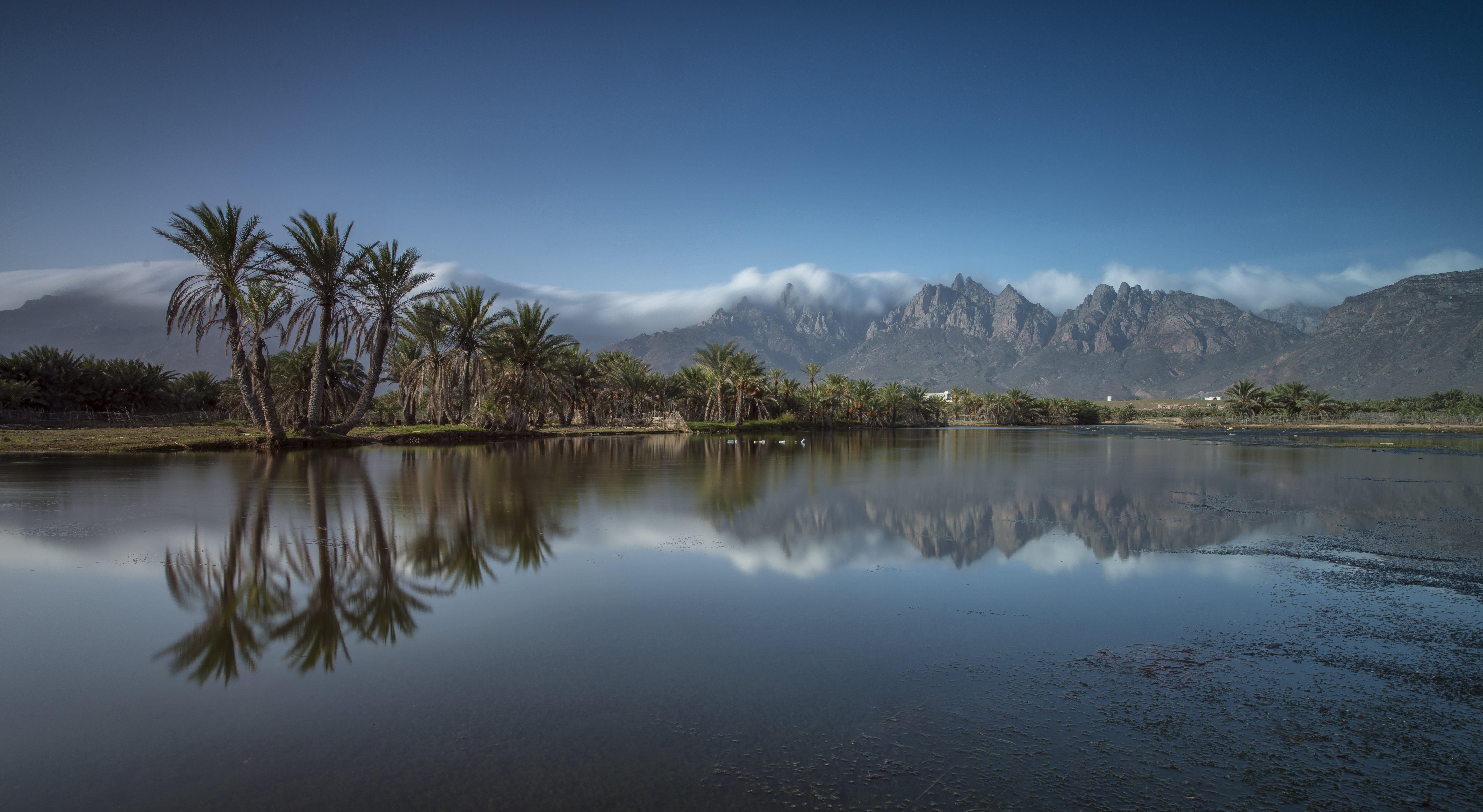 Socotra Island Yemen Mountain Palm Island Fog Landmark Landscape