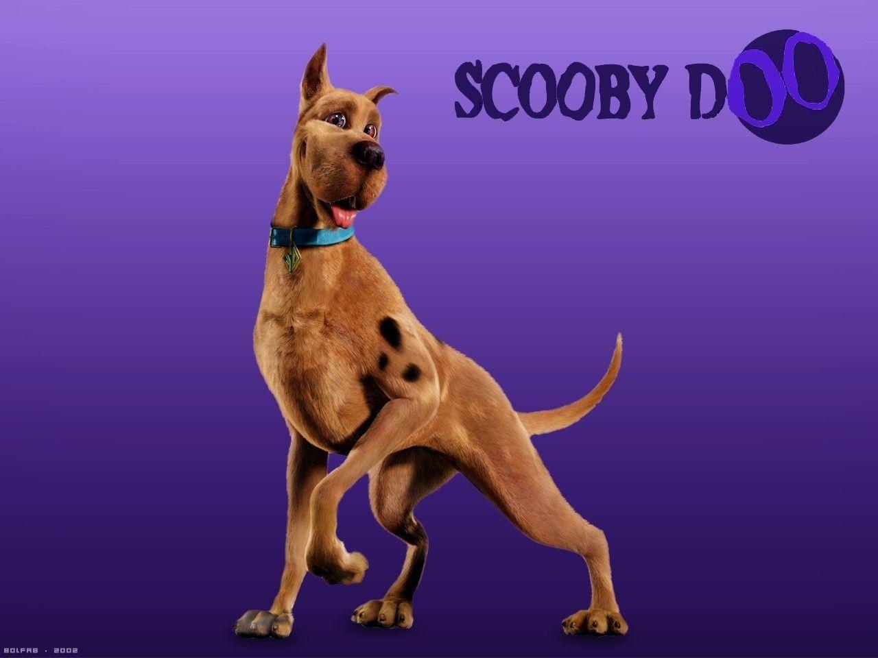 Scooby Doo Wallpapers on WallpaperDog