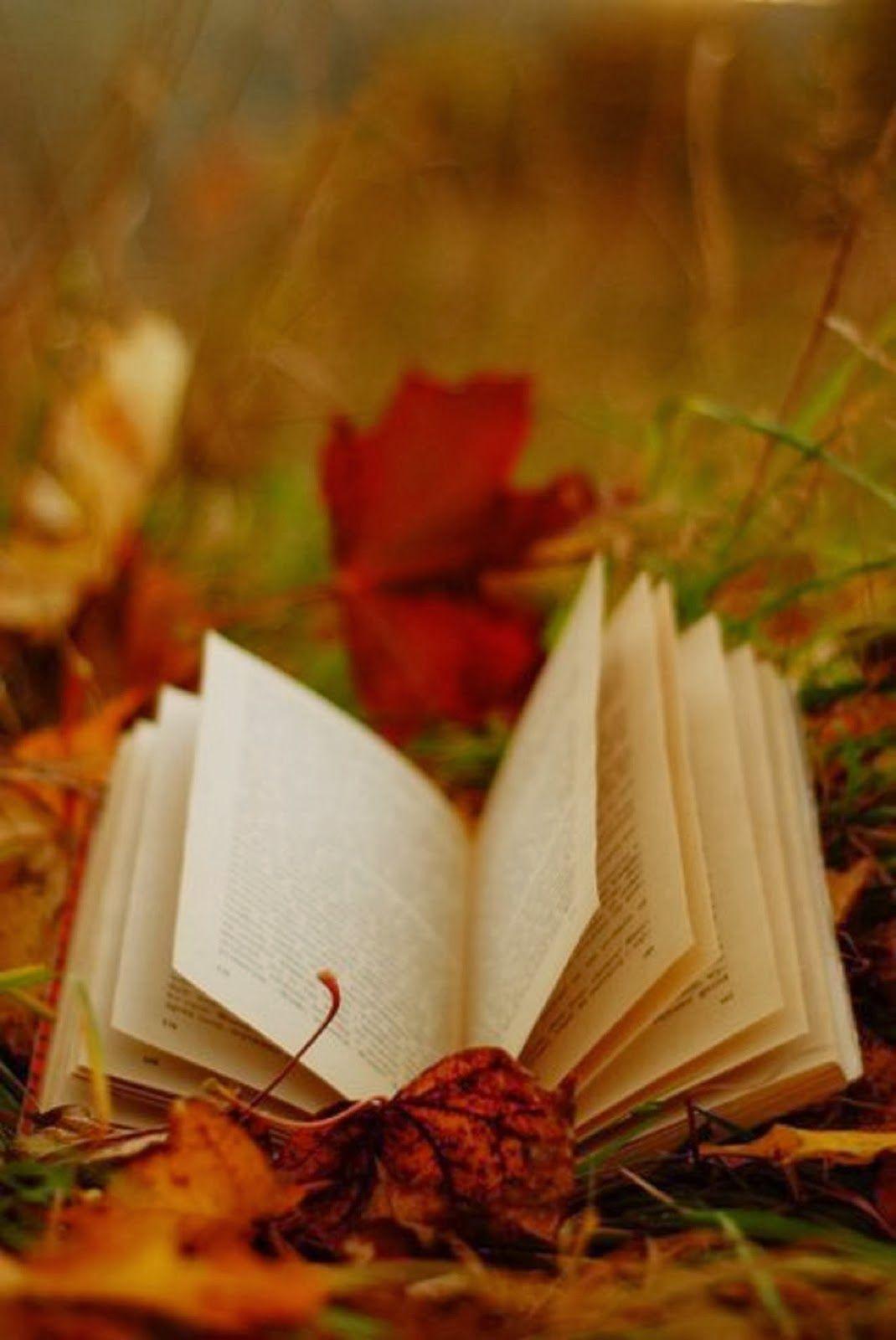 Autumn Book. Autumn Image. Autumn, Books and Book