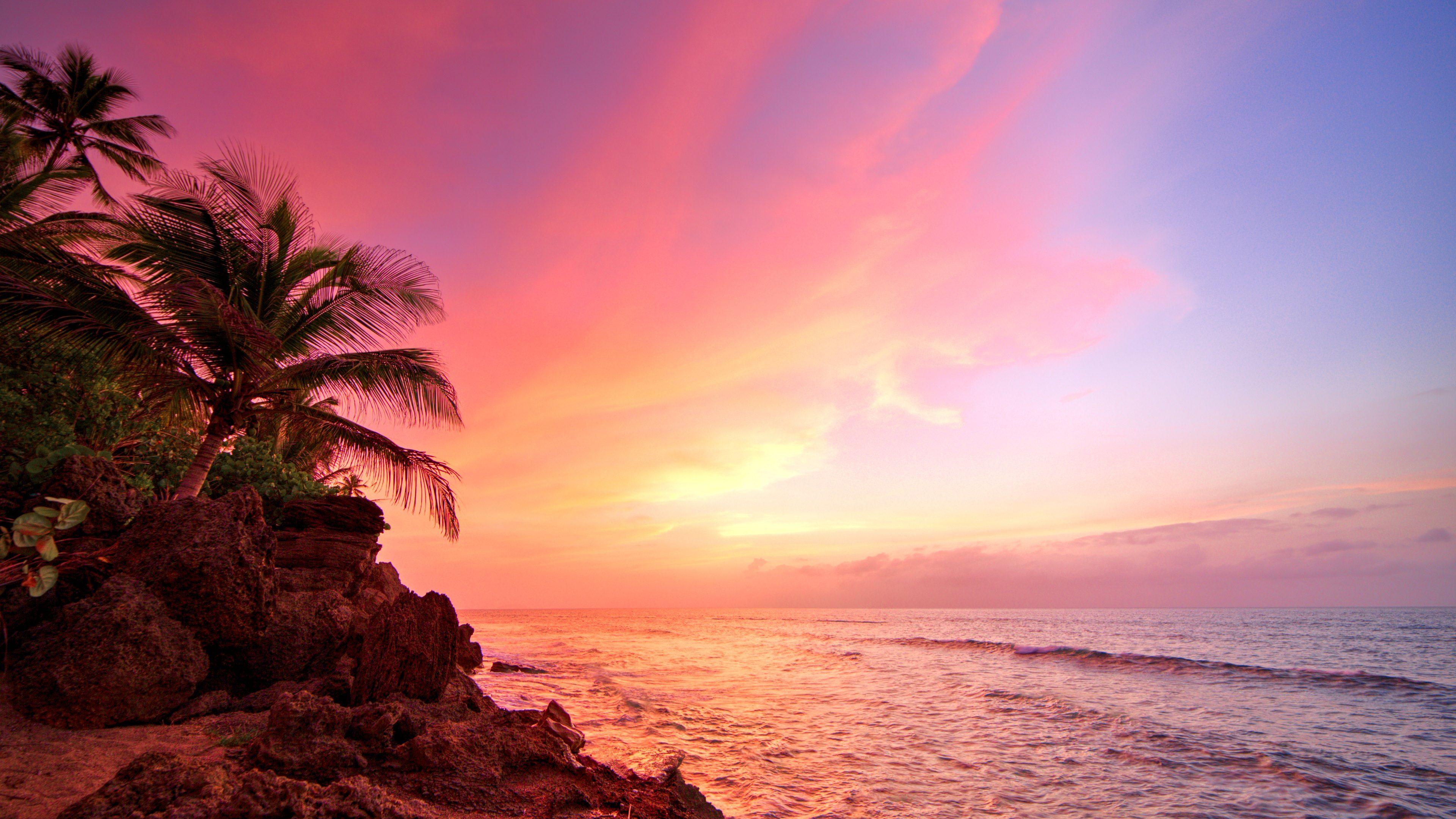 Puerto Rico Rincon Sunset Ocean Palm Trees Desktop Wallpaper