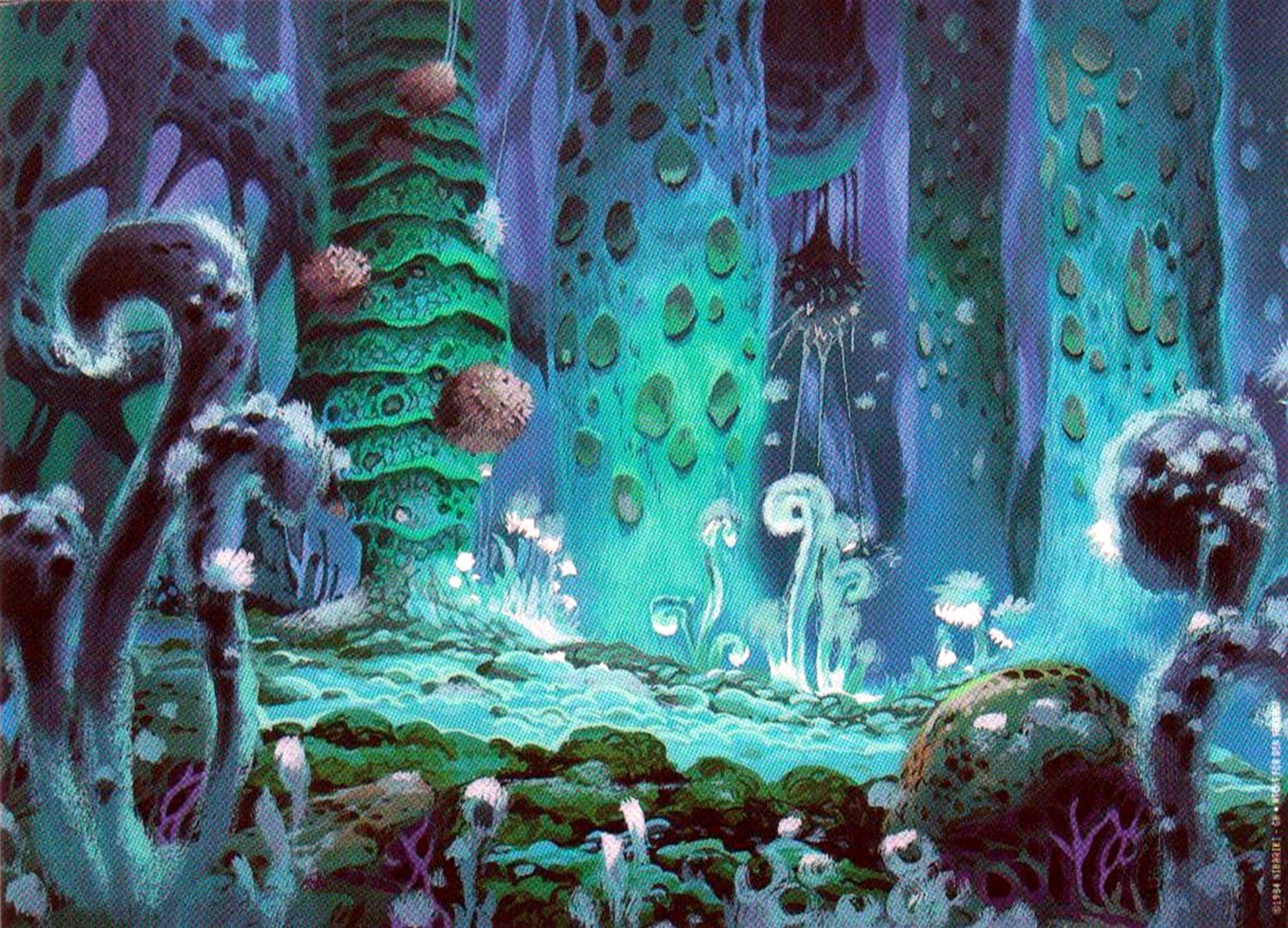 Nausicaa Anime HD Wallpaper: Enchanted Forest of the Valley of the Wind