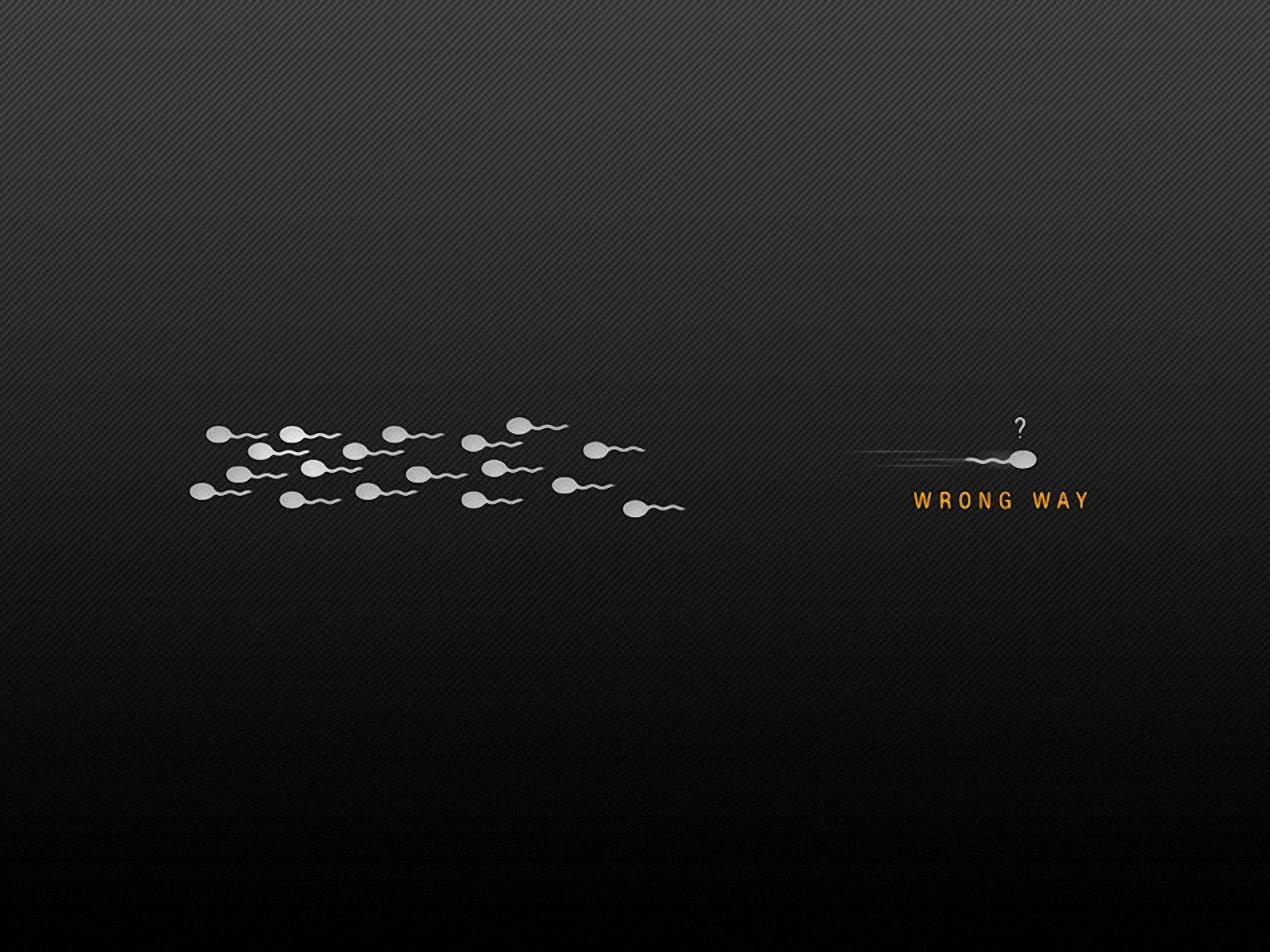 minimalism black background sperm inscription wrong way background