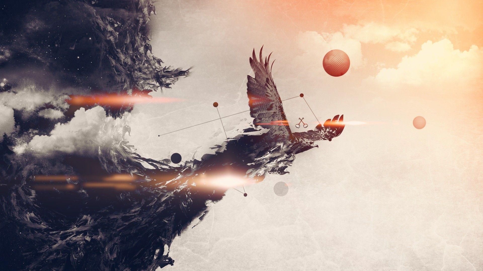 Eagle Artwork Wallpaper 48799 1920x1080 px