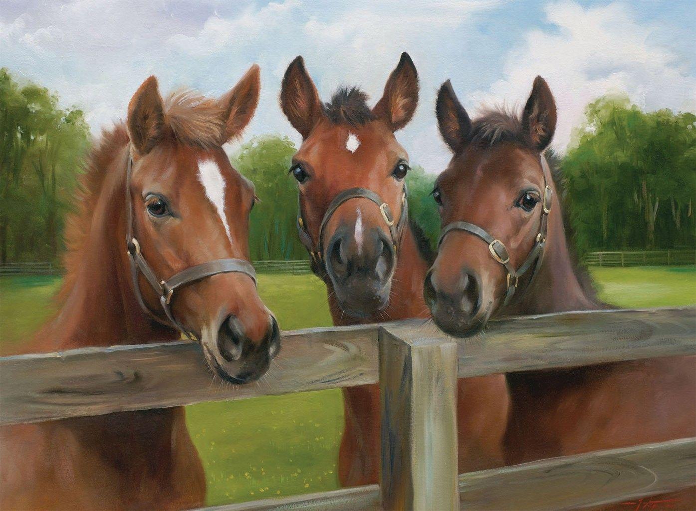 Horse Painted Art Three Animal Horses Horsses Pony HD Wallpaper