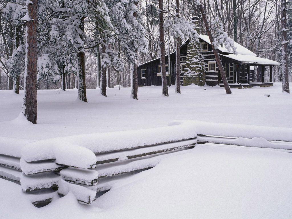 Winter wonderland : Dreamy Snow Scene wallpapers 1024x768 NO.39