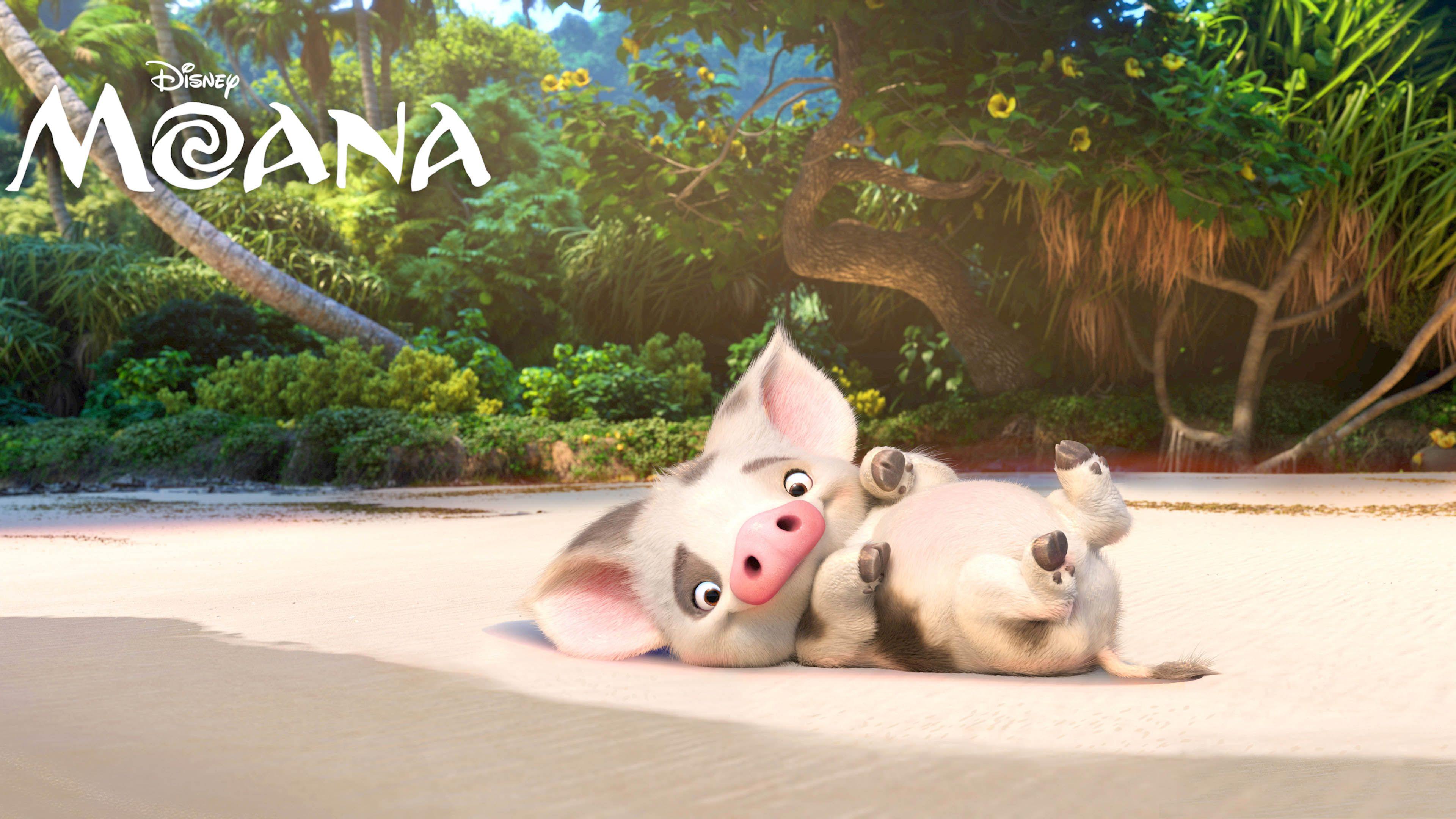 Pua The Pig Moana Character Promo 16 9