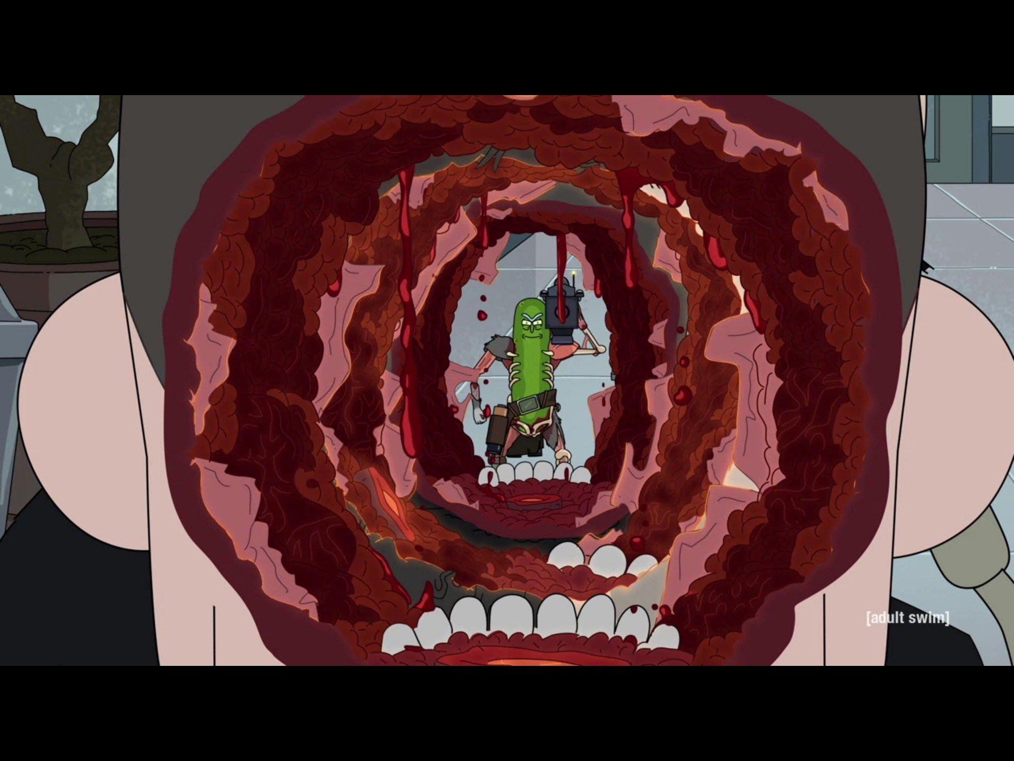 Pickle Rick' Proves That in a Multiverse Only Susan Sarandon Can