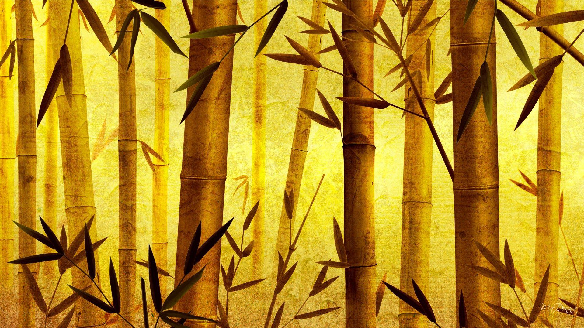 Bamboo Wallpaper 6493 1920x1080px