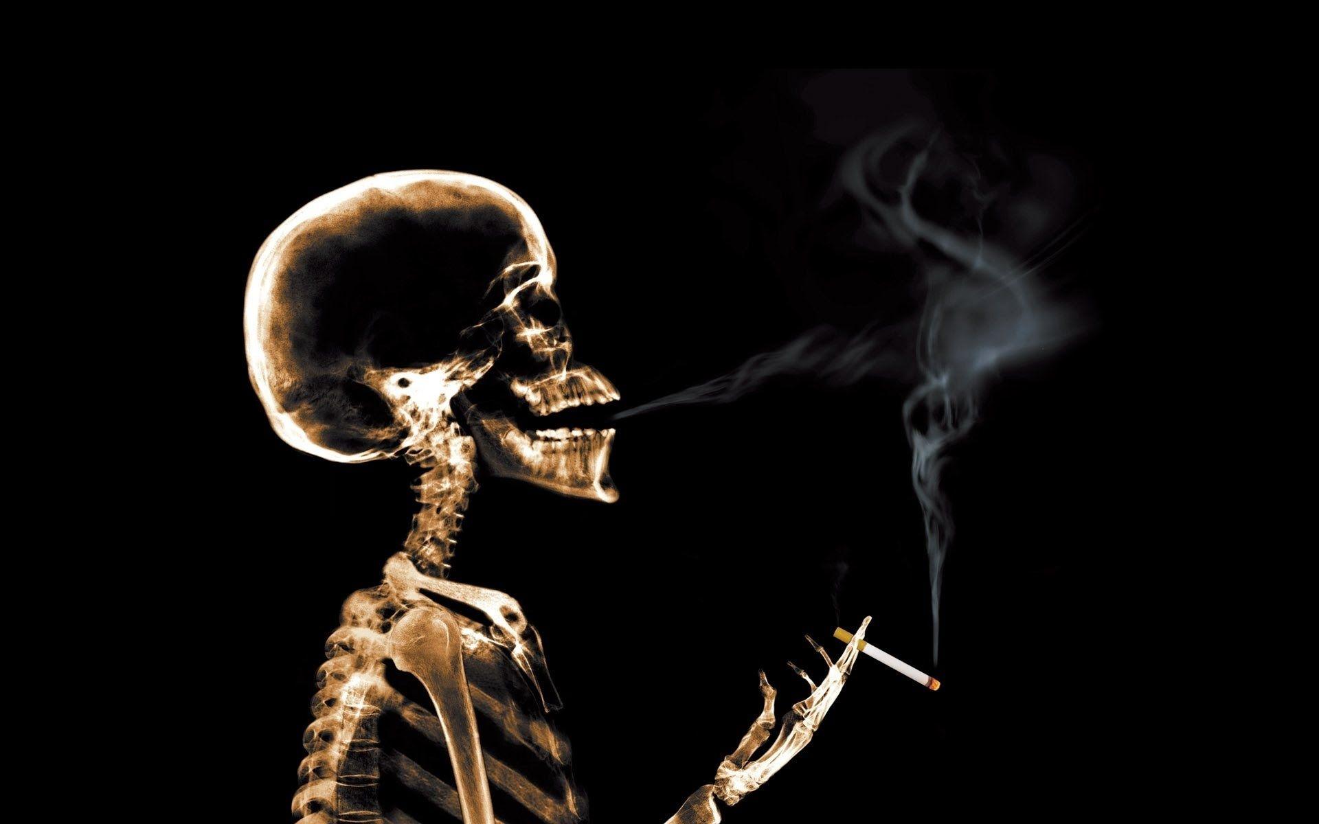 Smoking Skull Live Wallpapers.