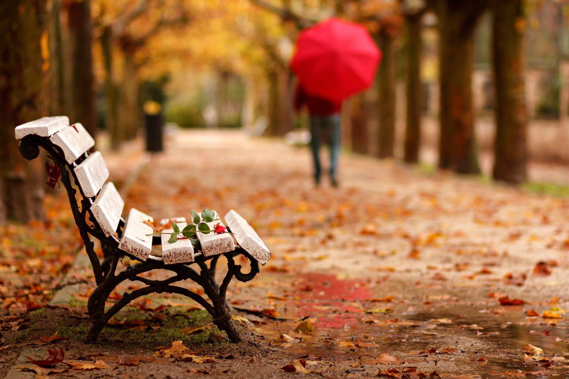 adios goodbye park bench flower rose man maintenance umbrella
