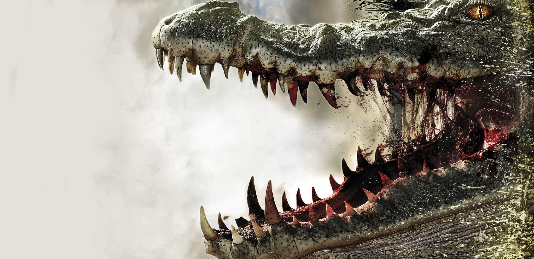 Alligator Full HD Wallpaper and Backgroundx1080