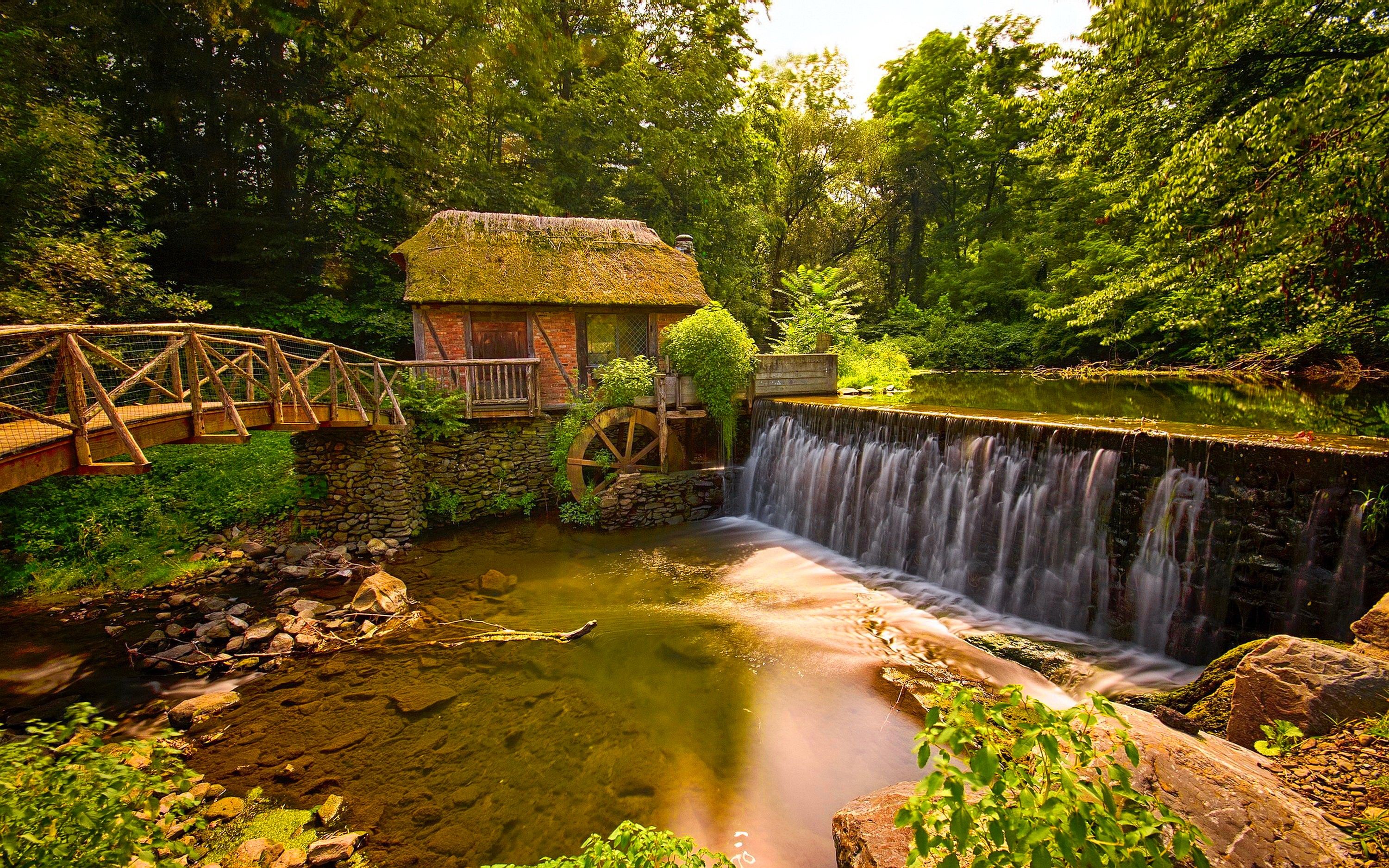Misc: Watermill Calmness Serenity Water Summer Trees Nature Forest