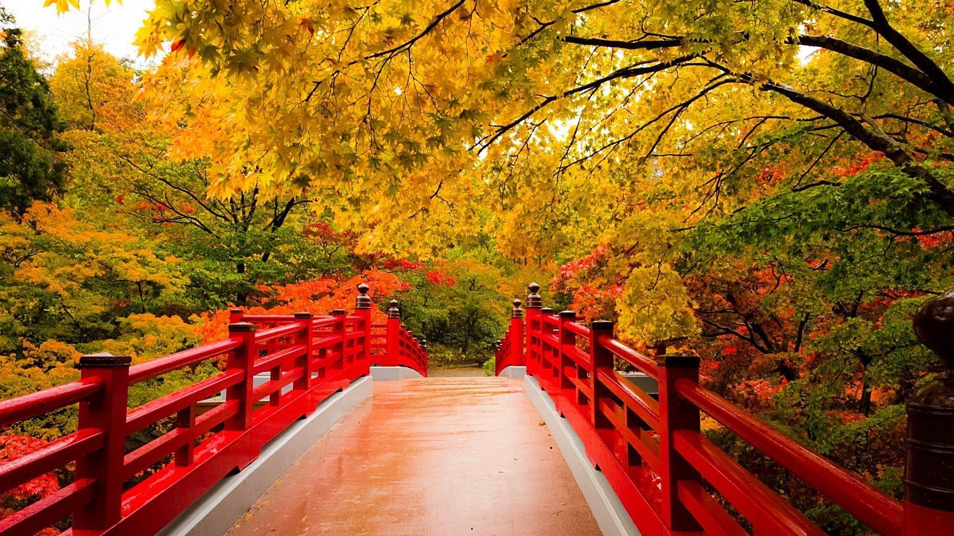 Quiet Tag wallpaper: Autumn Bridge Colorful Serenity Red