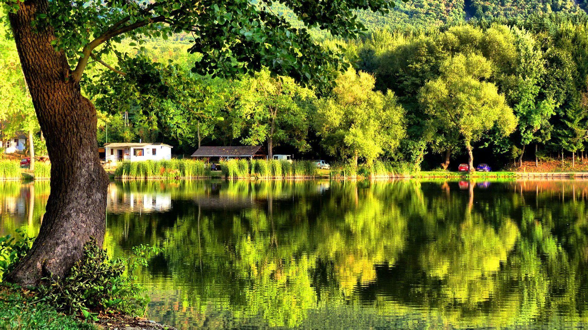 Lakes: Grass House Perfect Holiday River Green Greenery Quiet