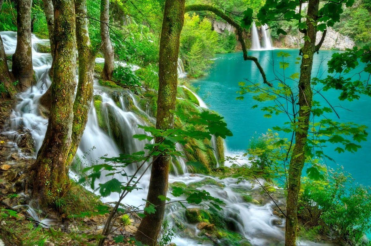 Lakes: Plitvice Lakes Emerald Lake Serenity Forest Branches Calm