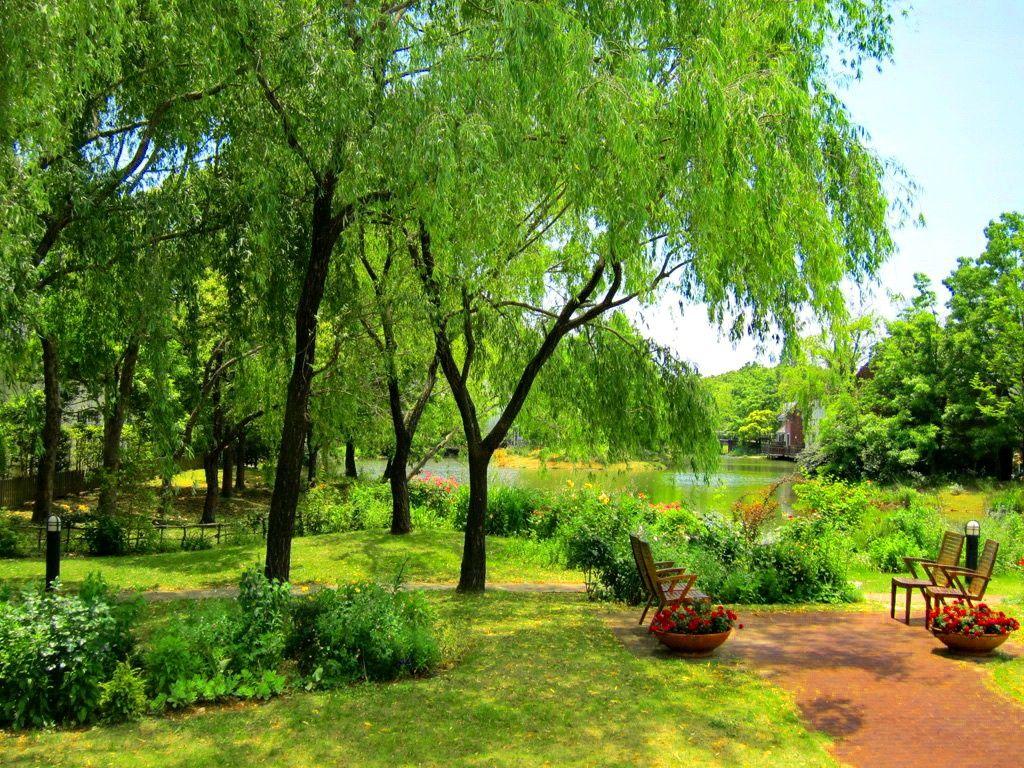 Misc: Park Beauty Grass Serenity Lake Relax Walk Rest Pond Calm
