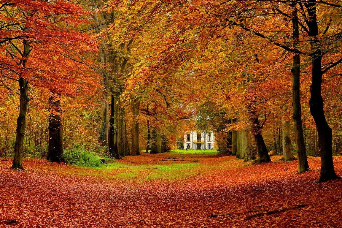 Photo Collection Peaceful Fall Wallpaper