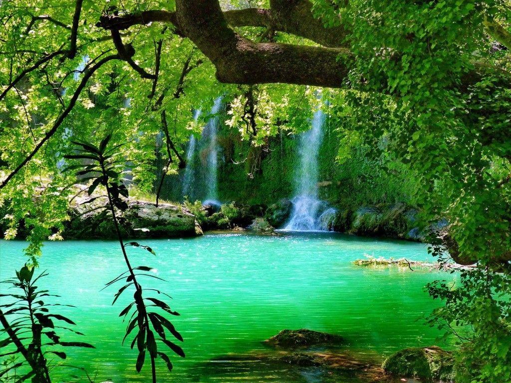 Wallpaper Predominant cc99 Color: Place Oneself Lose Waterfall