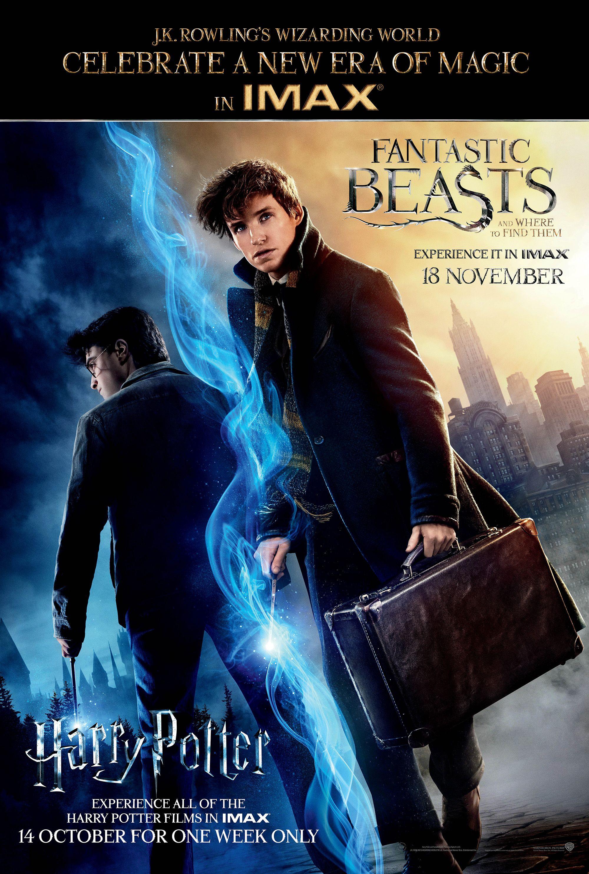 IMAX Is Screening 8 Harry Potter Films Ahead Of 'Fantastic Beasts'