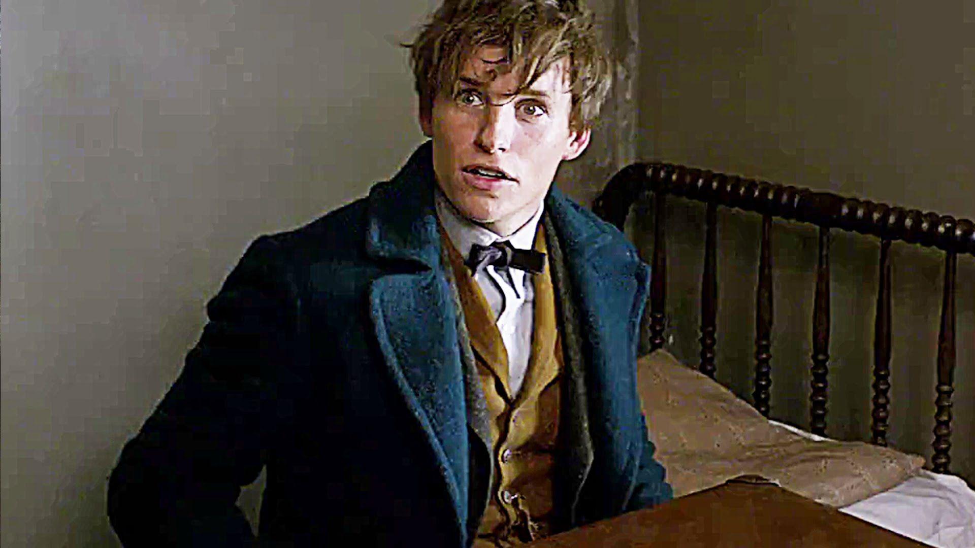FANTASTIC BEASTS AND WHERE TO FIND THEM (2016) Eddie
