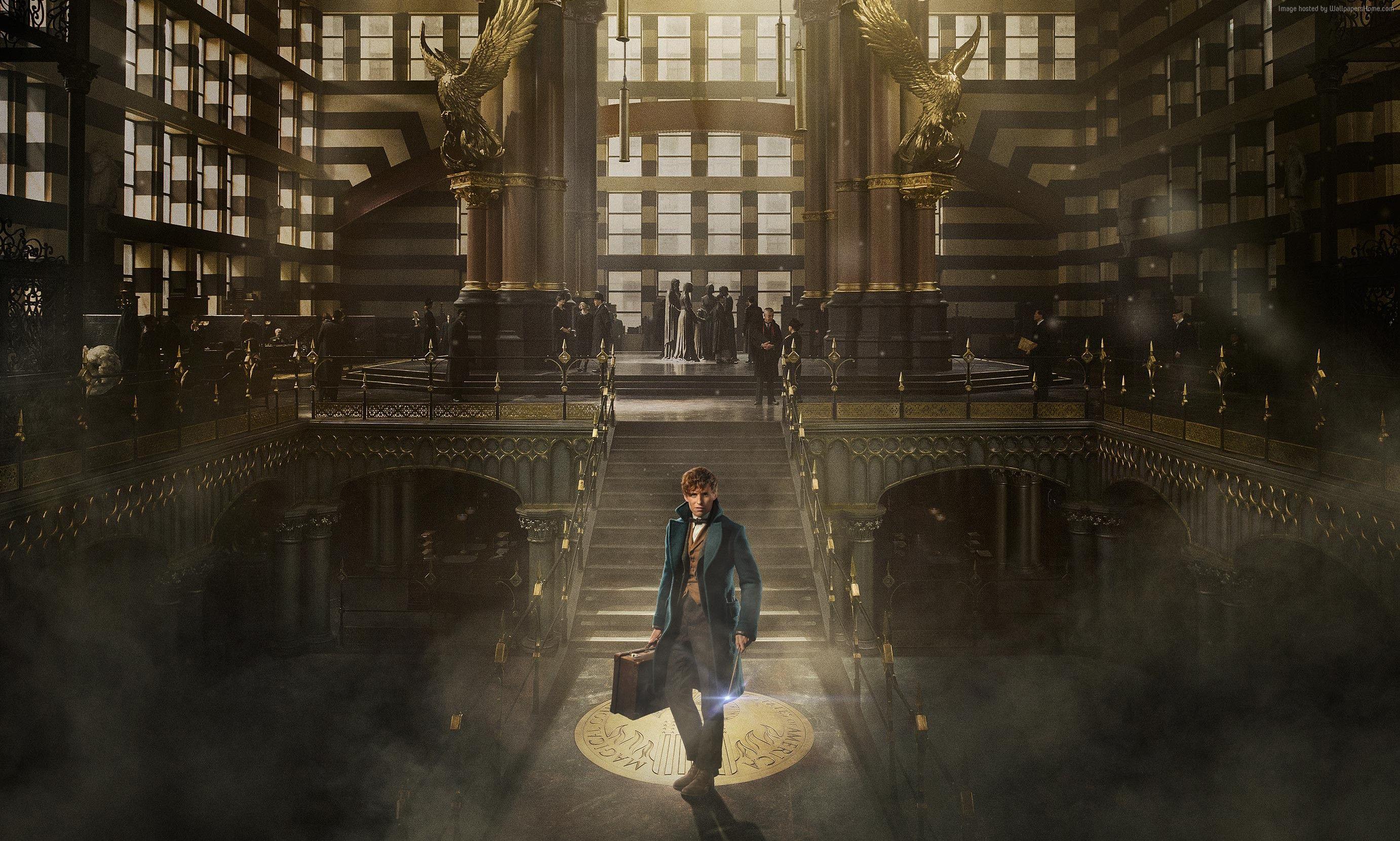 Wallpaper Fantastic Beasts And Where To Find Them, Eddie Redmayne