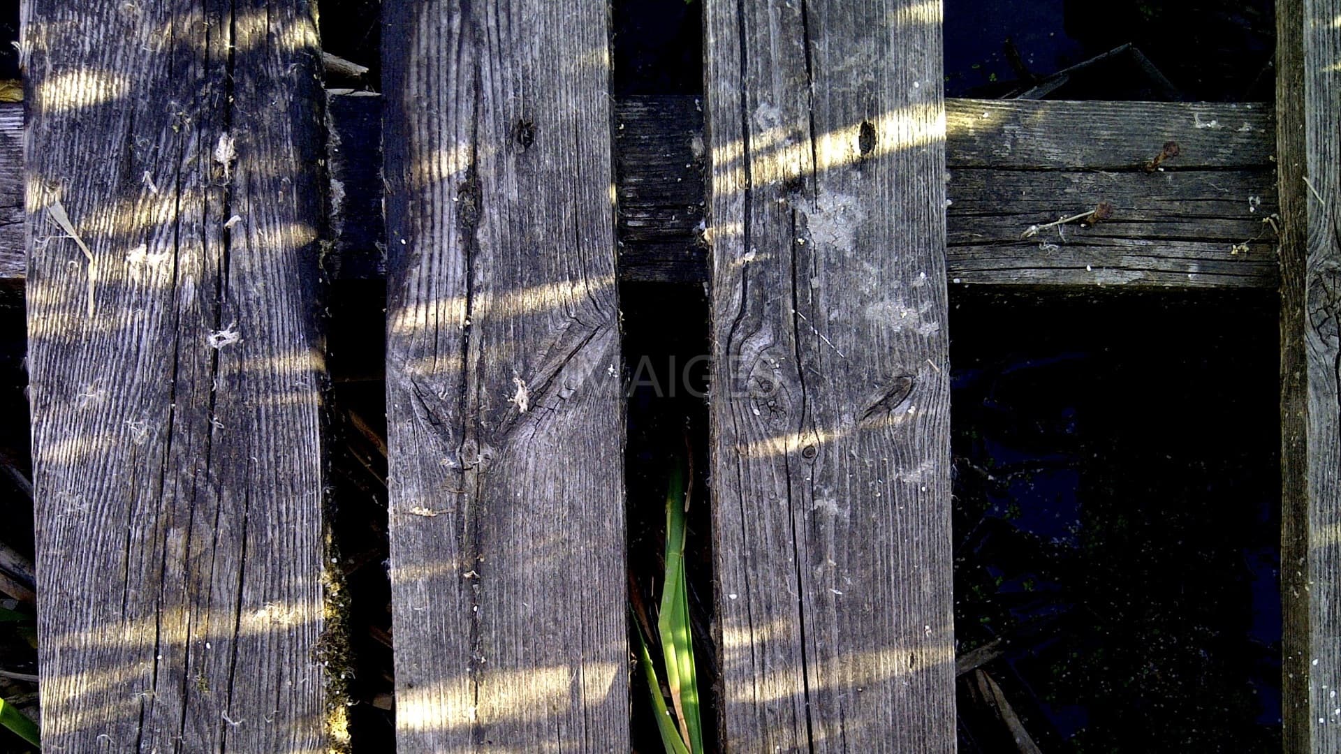 Wood, Close, Boards, Old, Nature