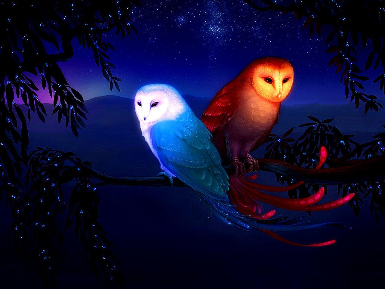 Two Owls Wallpaper
