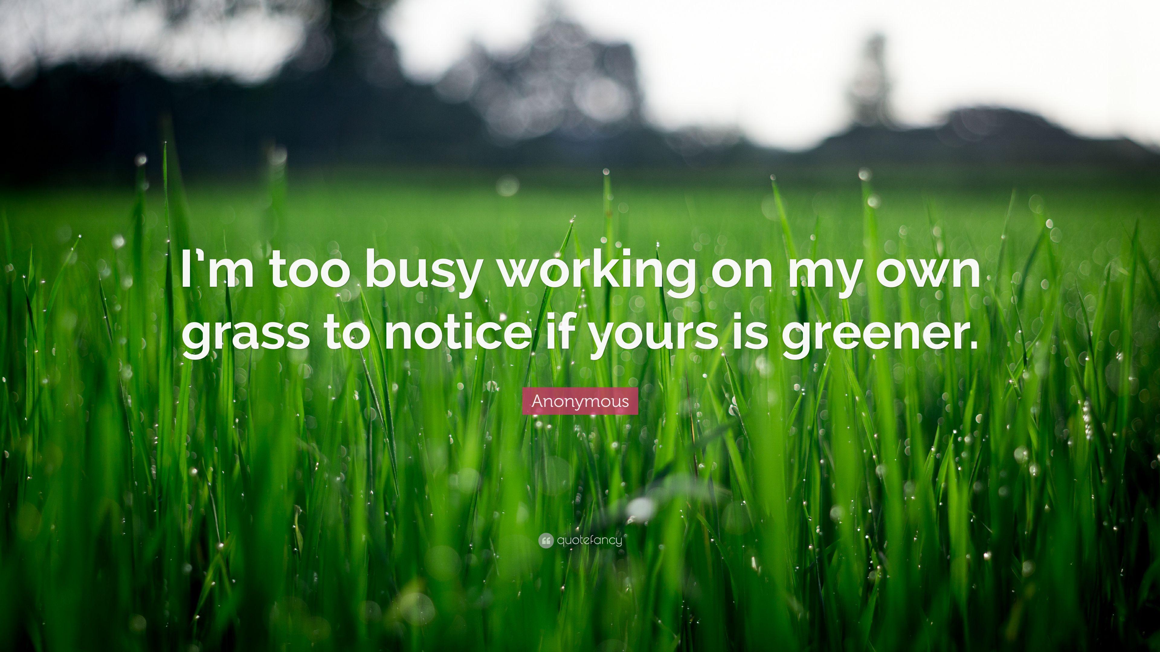 Anonymous Quote: “I'm too busy working on my own grass to notice
