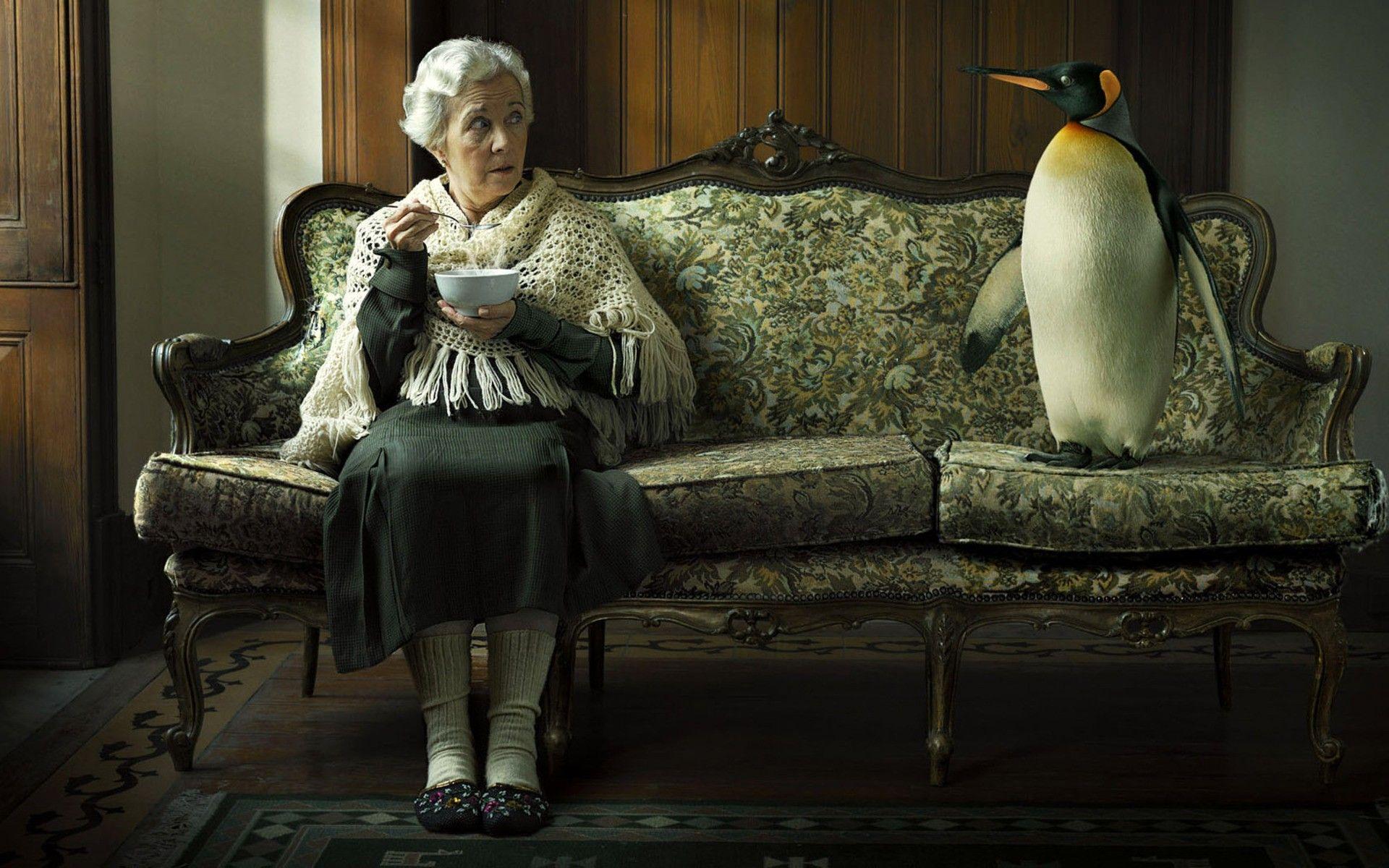 sitting, #old people, #penguins, #couch, #carpets, #birds, #soup