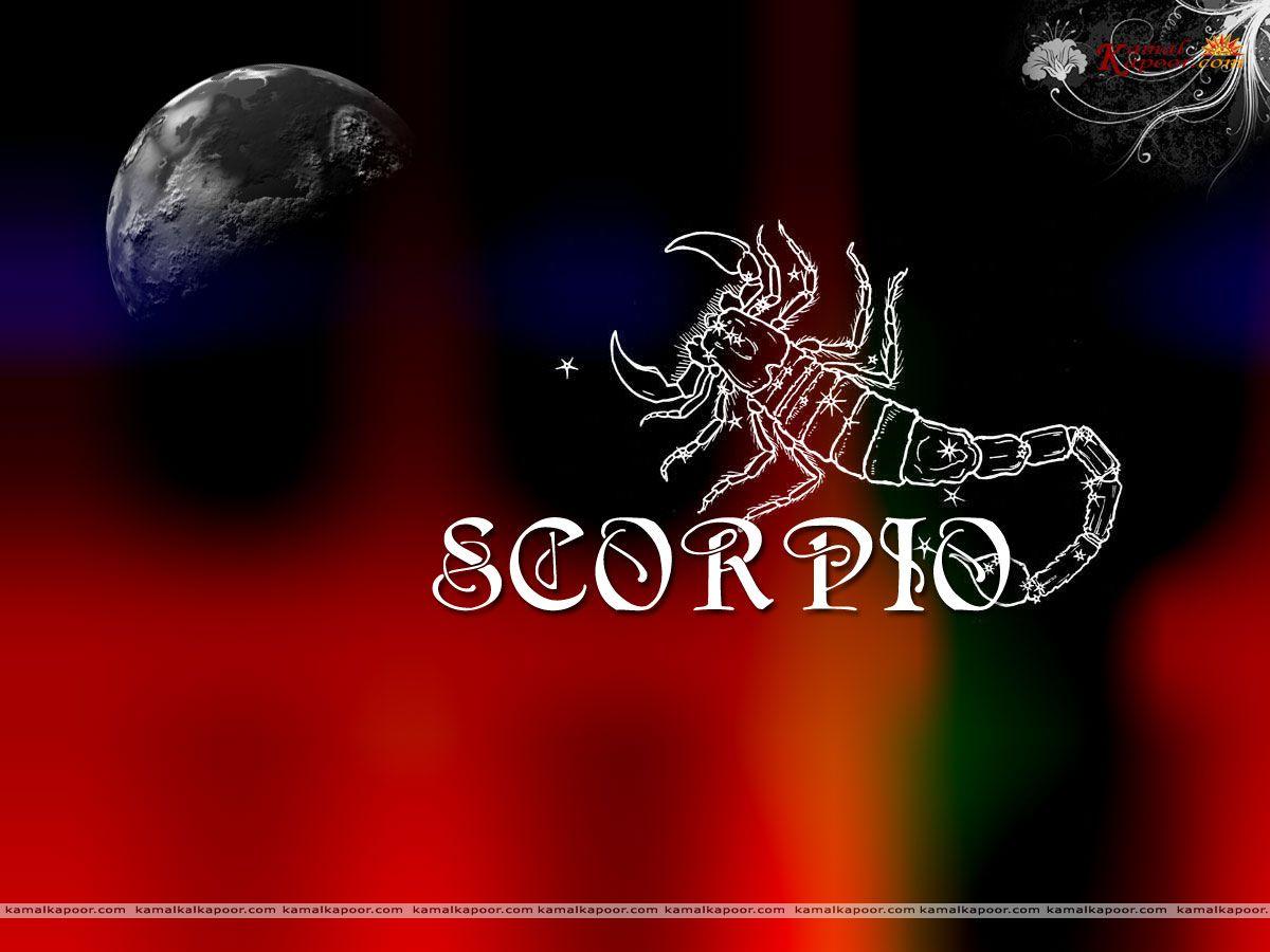 Scorpio Wallpaper, Zodiac Scorpio Designer Wallpaper, Scorpio