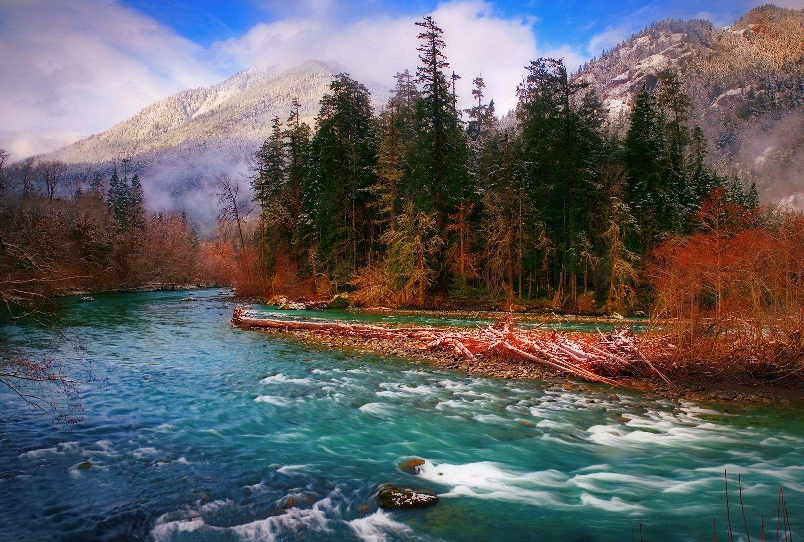 Rivers: Forest Washington River Snow Mountains Elwha State Fall