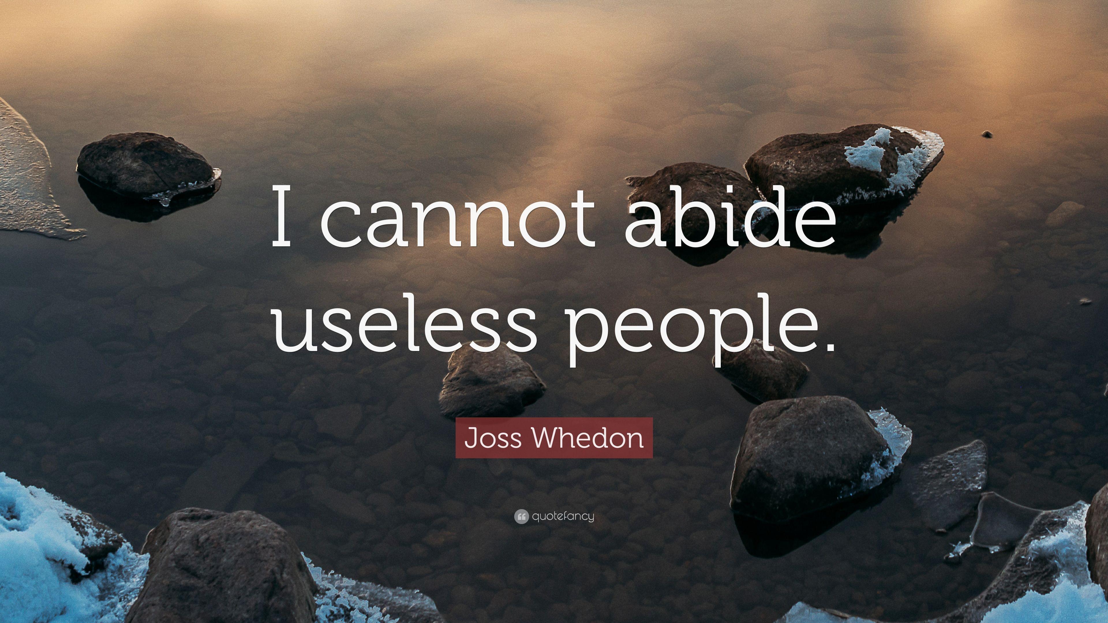 Joss Whedon Quote: “I cannot abide useless people.” 9 wallpaper