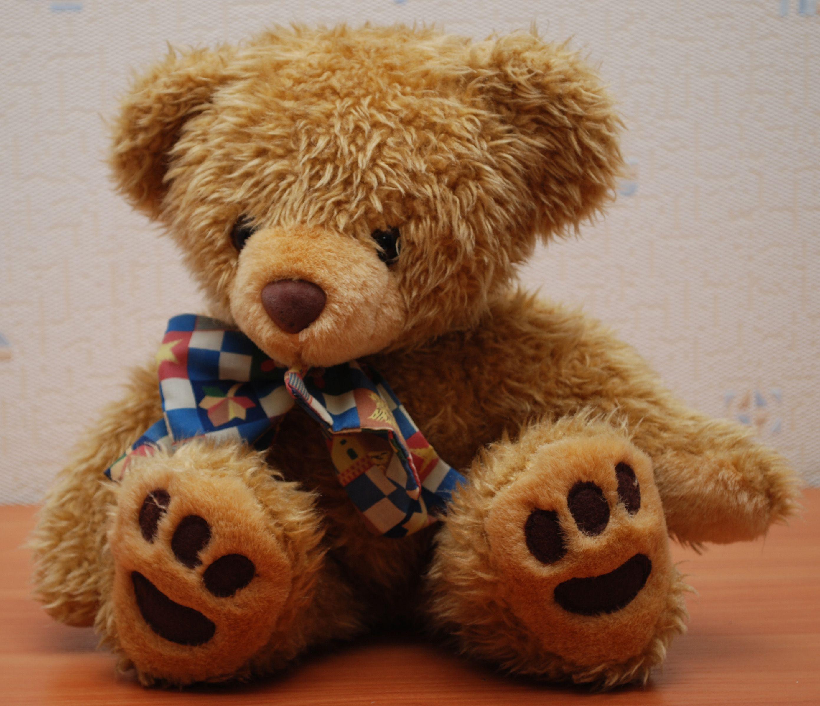 HD Wallpaper Free Teddy Bear Wallpaper with HQ 1080p