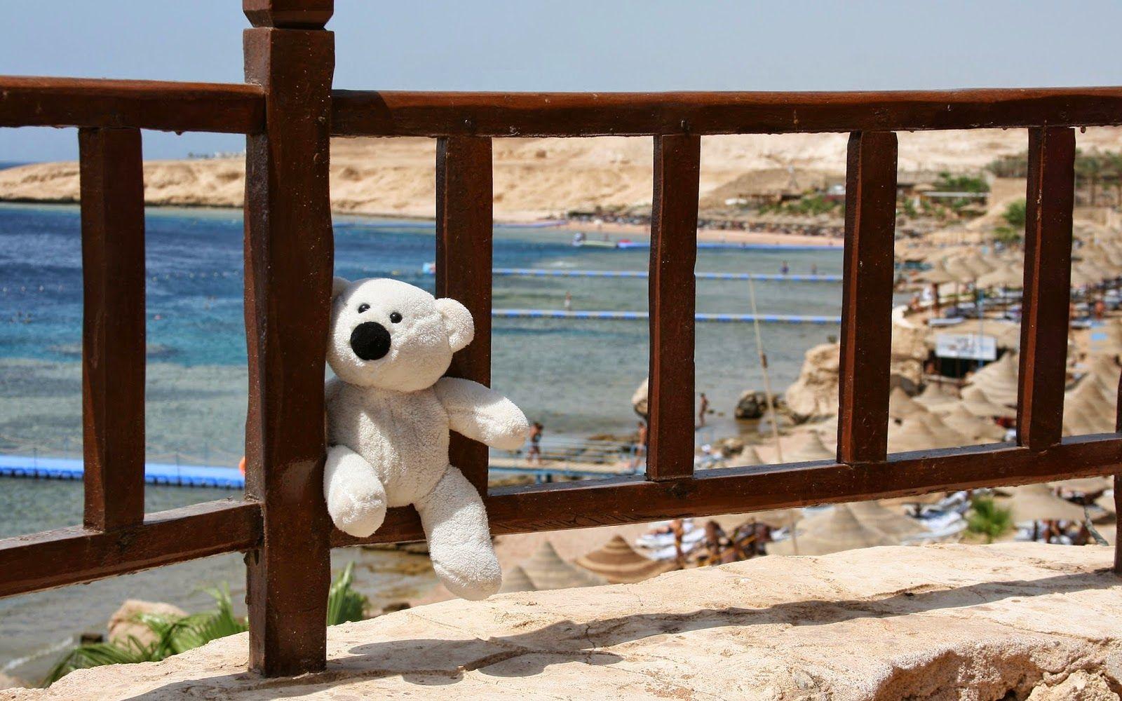 Picture of sad teddy bear lost & lonely feeling after love break