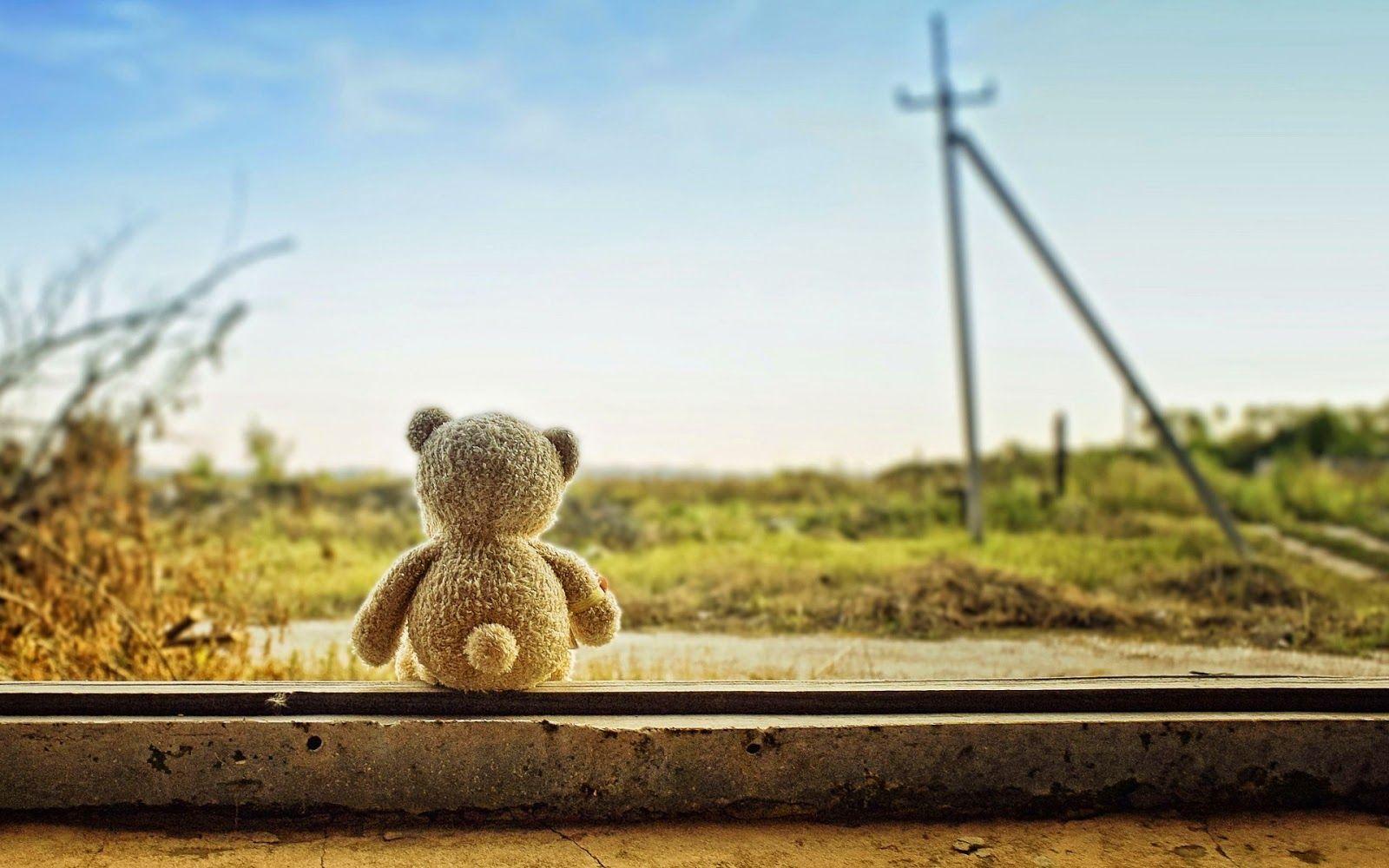Picture of sad teddy bear lost & lonely feeling after love break
