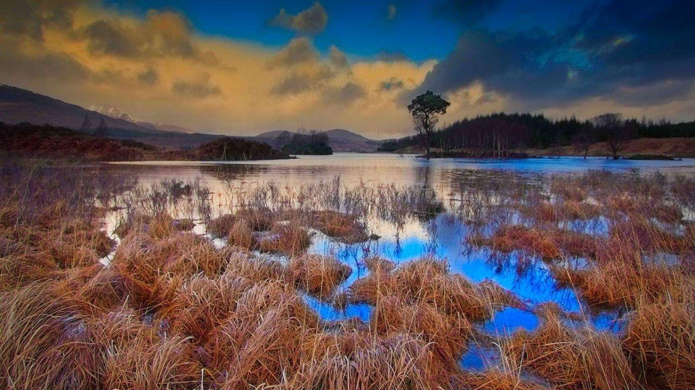 The Scottish bog wallpaper and image, picture, photo