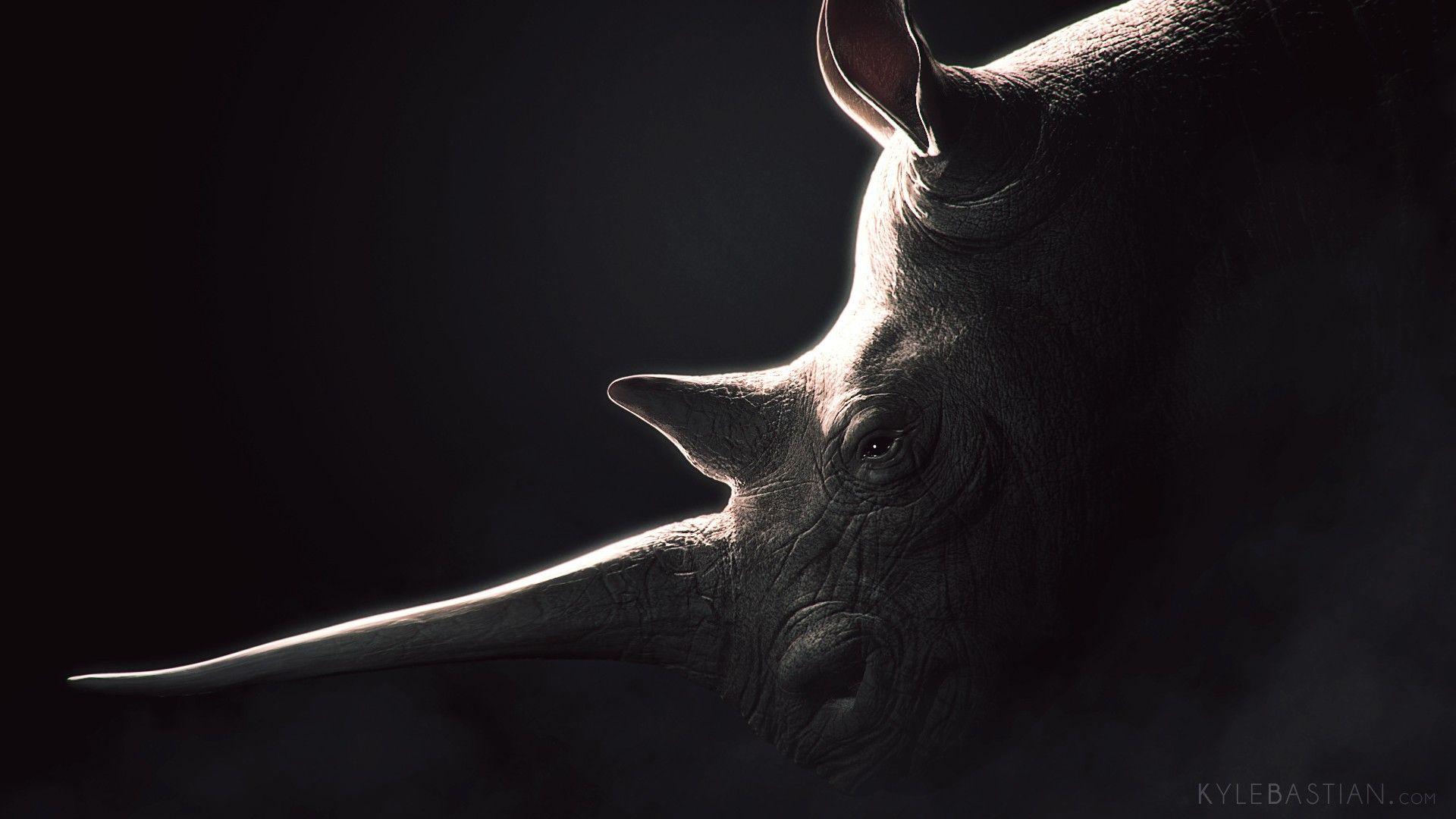Rhinoceros, black background Wallpaper download 1920x1080