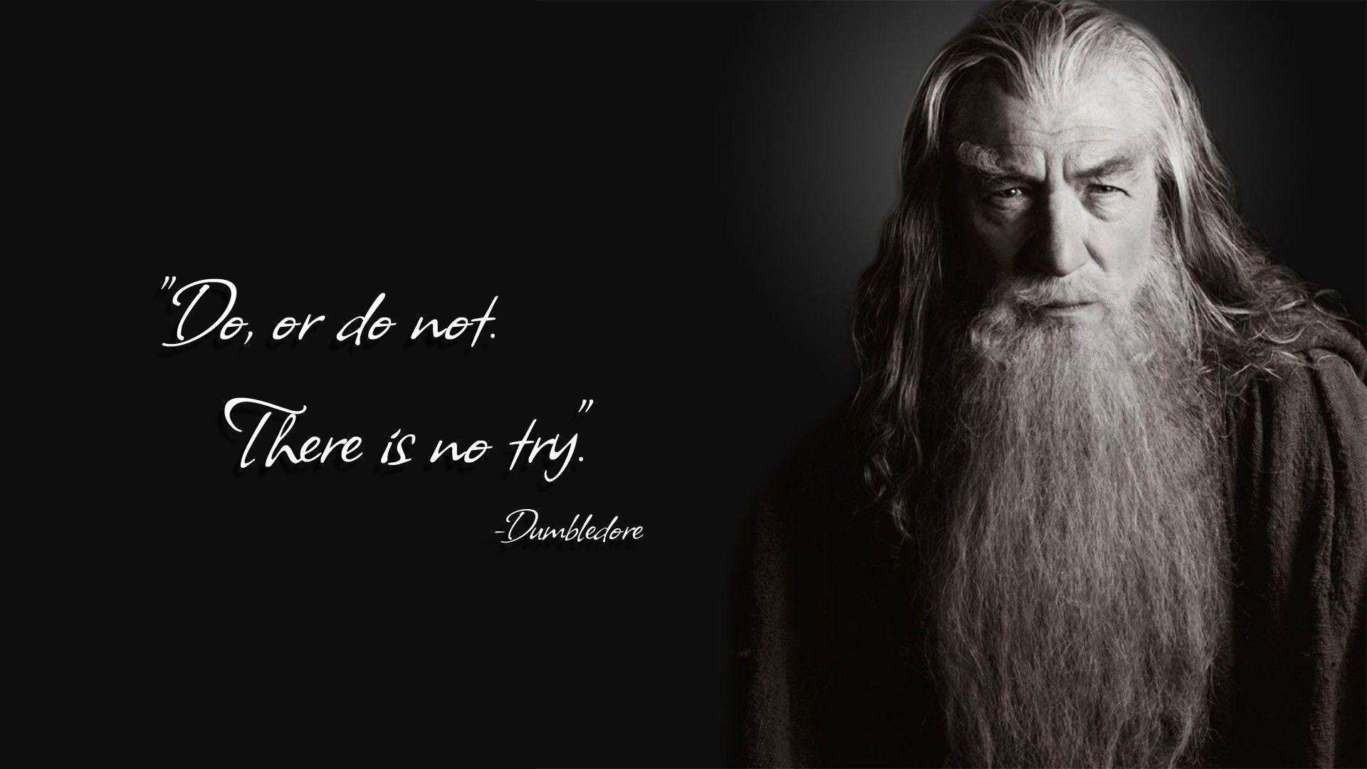 Albus Dumbledore, Gandalf, Harry Potter, Quote, Yoda Wallpaper HD