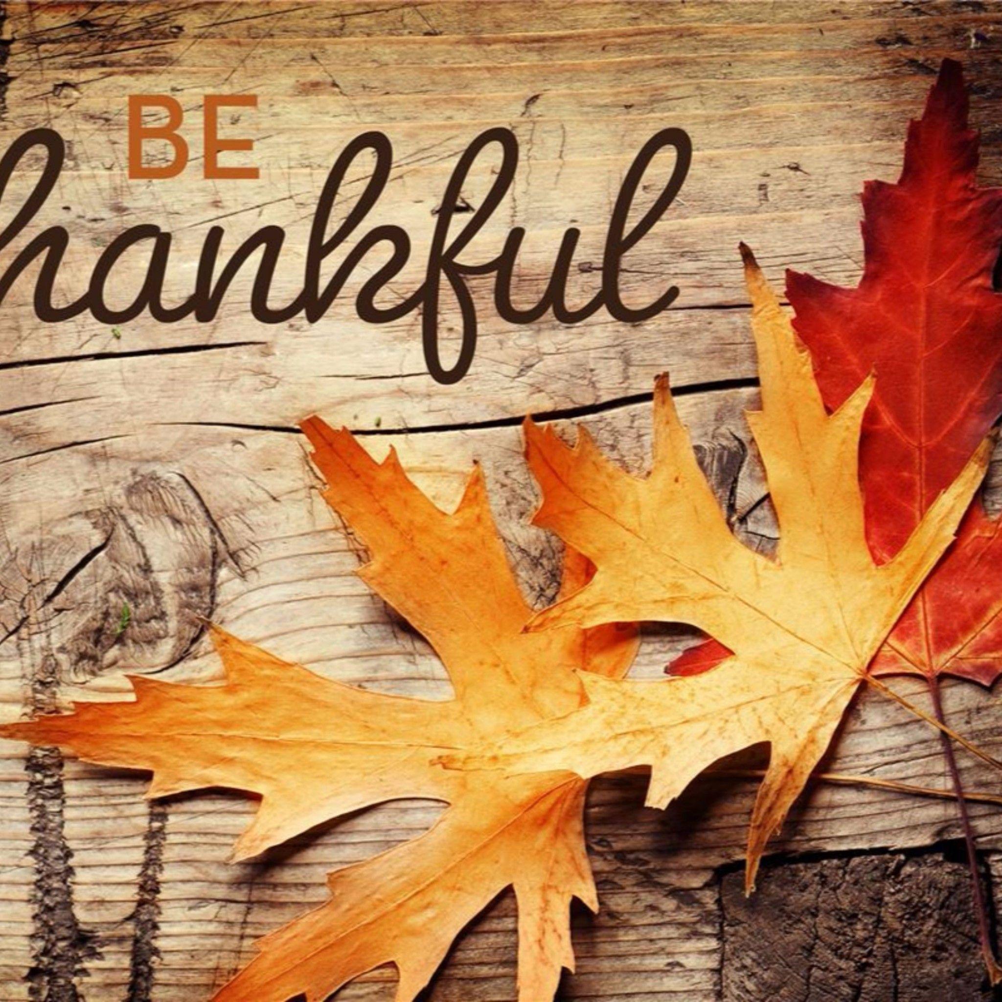 Be Thankful Thanksgiving 4K Wallpaper. Free 4K Wallpaper