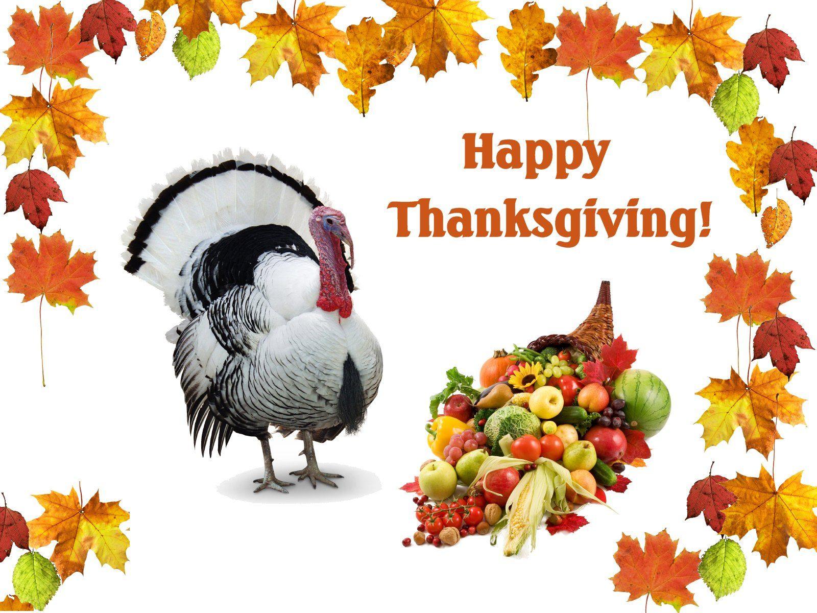 25+} Thanksgiving Day Image and Picture. Happy Thanksgiving Day