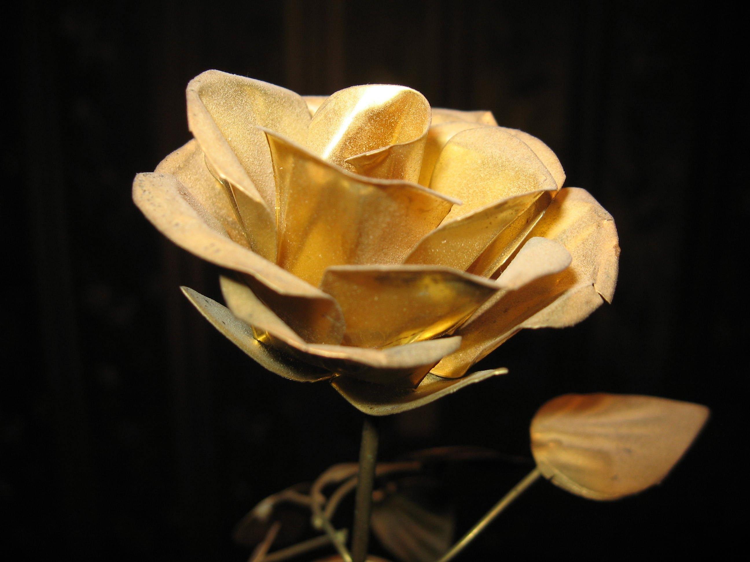 Gold Rose Wallpapers - Wallpaper Cave
